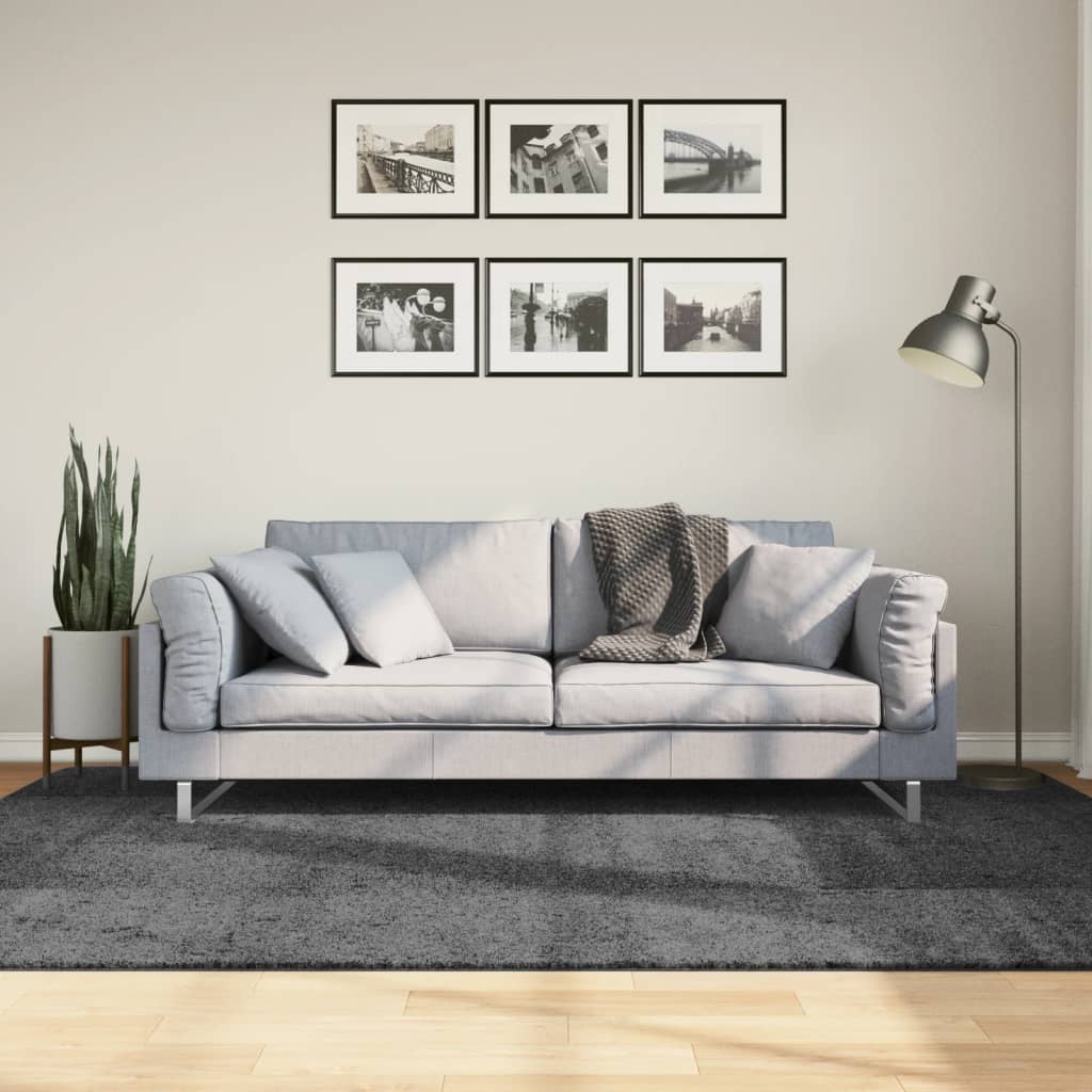 vidaXL Covor „OVIEDO”, fire scurte, antracit, 160x230 cm vidaXL Covor „OVIEDO”, fire scurte, antracit, 160x230 cm