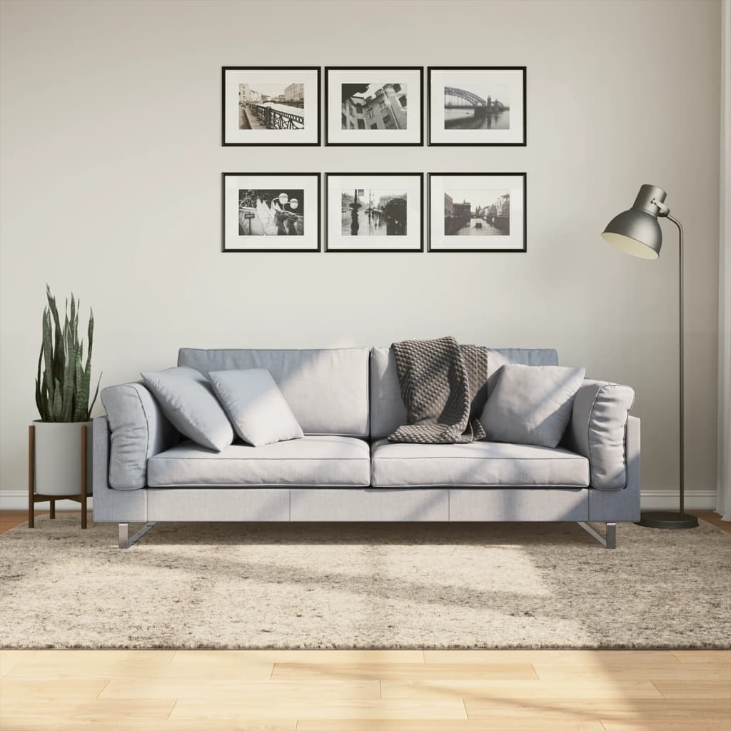 vidaXL Covor ISTAN, cu fire înalte, aspect lucios, bej, 160x230 cm vidaXL Covor ISTAN, cu fire înalte, aspect lucios, bej, 160x230 cm