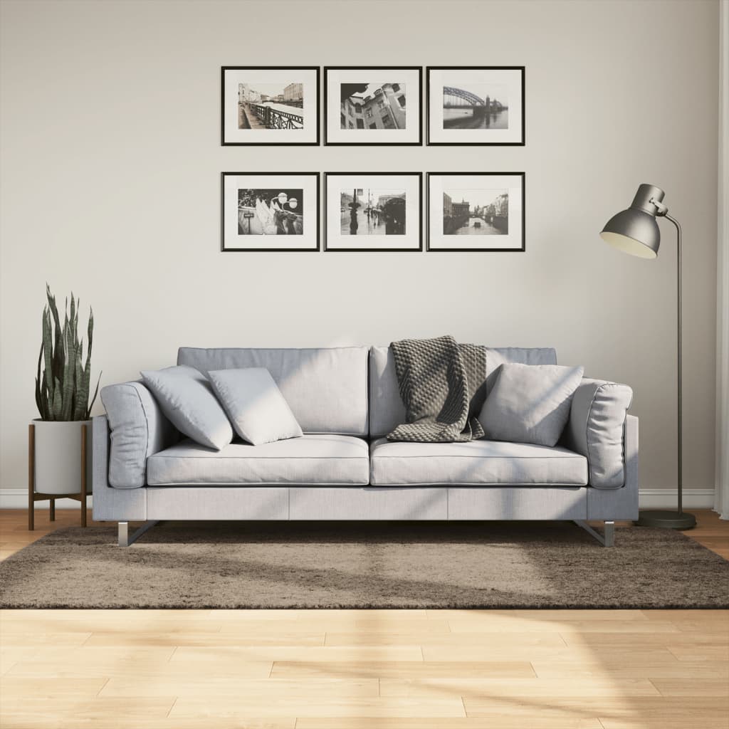 vidaXL Covor ISTAN, cu fire înalte, aspect lucios, gri, 100x200 cm