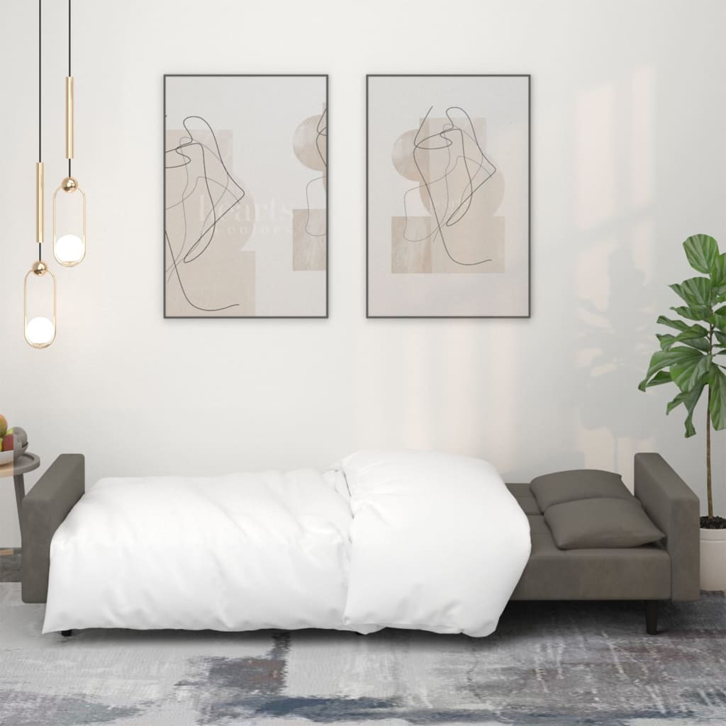 vidaXL Canapea extensibilă cu 2 locuri, 2 perne, gri închis, catifea vidaXL Canapea extensibilă cu 2 locuri, 2 perne, gri închis, catifea