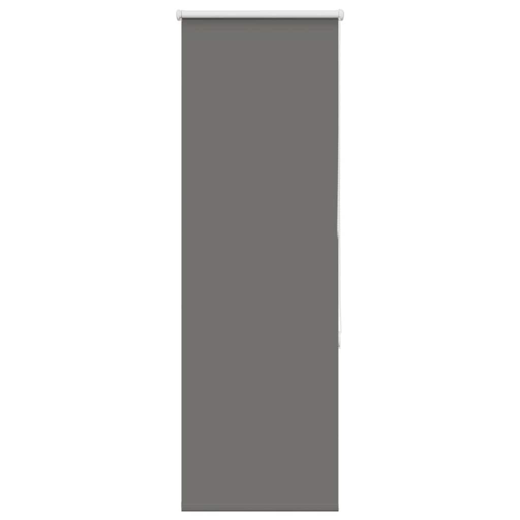 vidaXL Jaluzea cu role opace gri 55x150 cm lățime material 50,7 cm vidaXL Jaluzea cu role opace gri 55x150 cm lățime material 50,7 cm