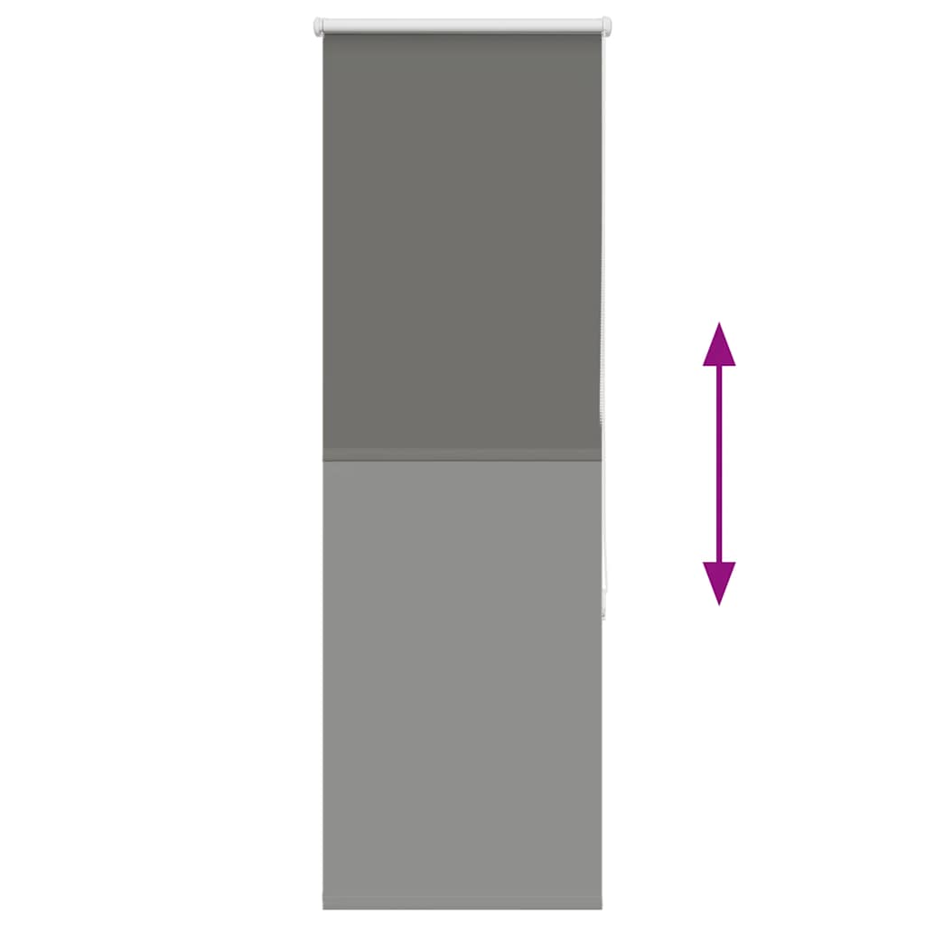 vidaXL Jaluzea cu role opace gri 60x150 cm lățime material 55,7 cm vidaXL Jaluzea cu role opace gri 60x150 cm lățime material 55,7 cm