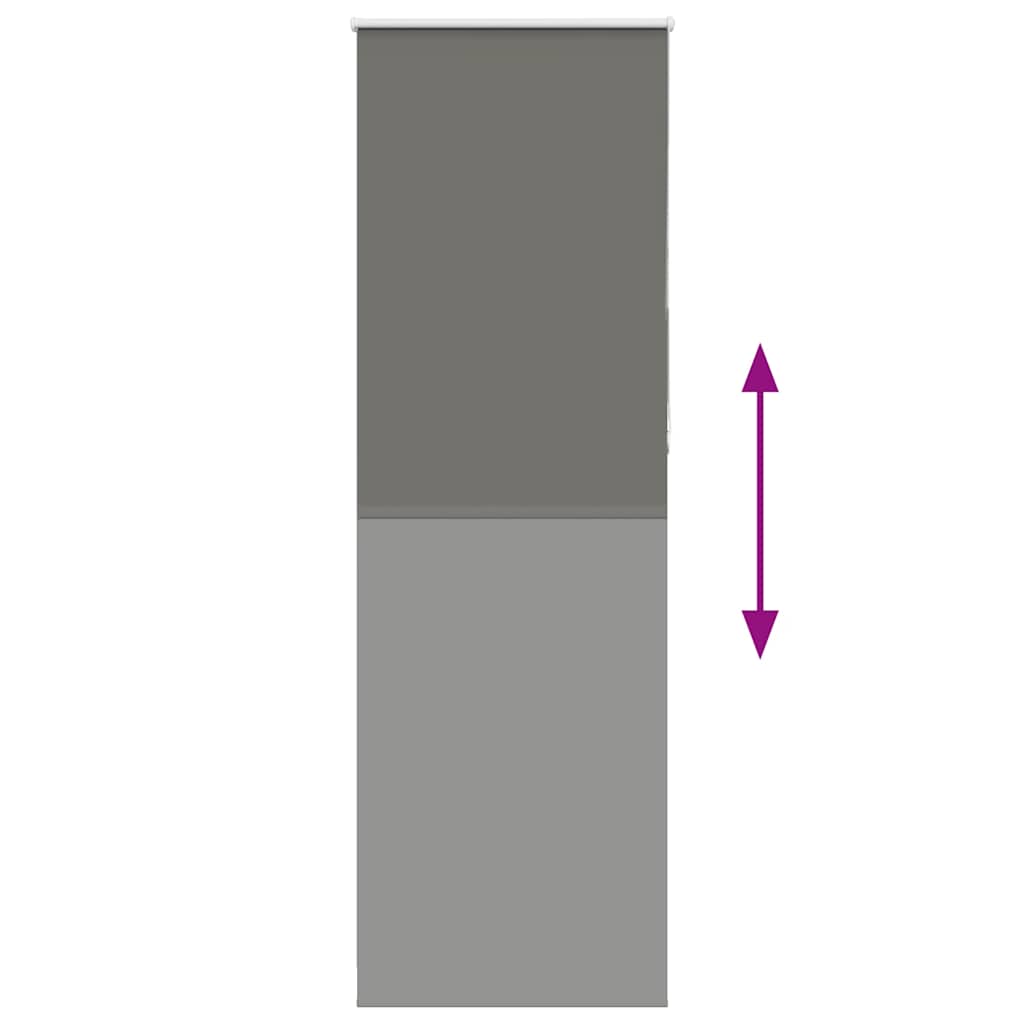 vidaXL Jaluzea cu role opace gri 65x210 cm lățime material 60,7 cm