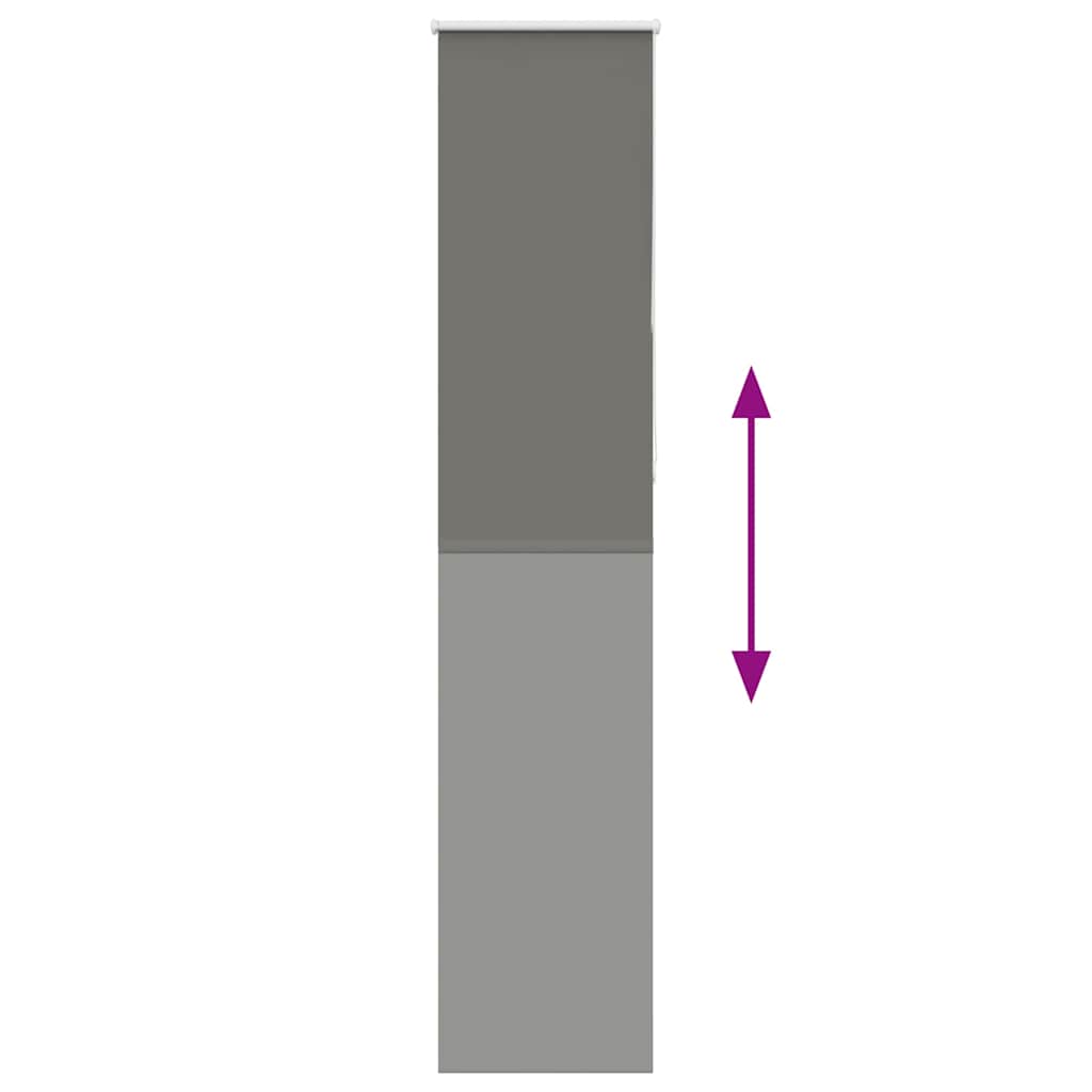 vidaXL Jaluzea cu role opace gri 55x230 cm lățime material 50,7 cm