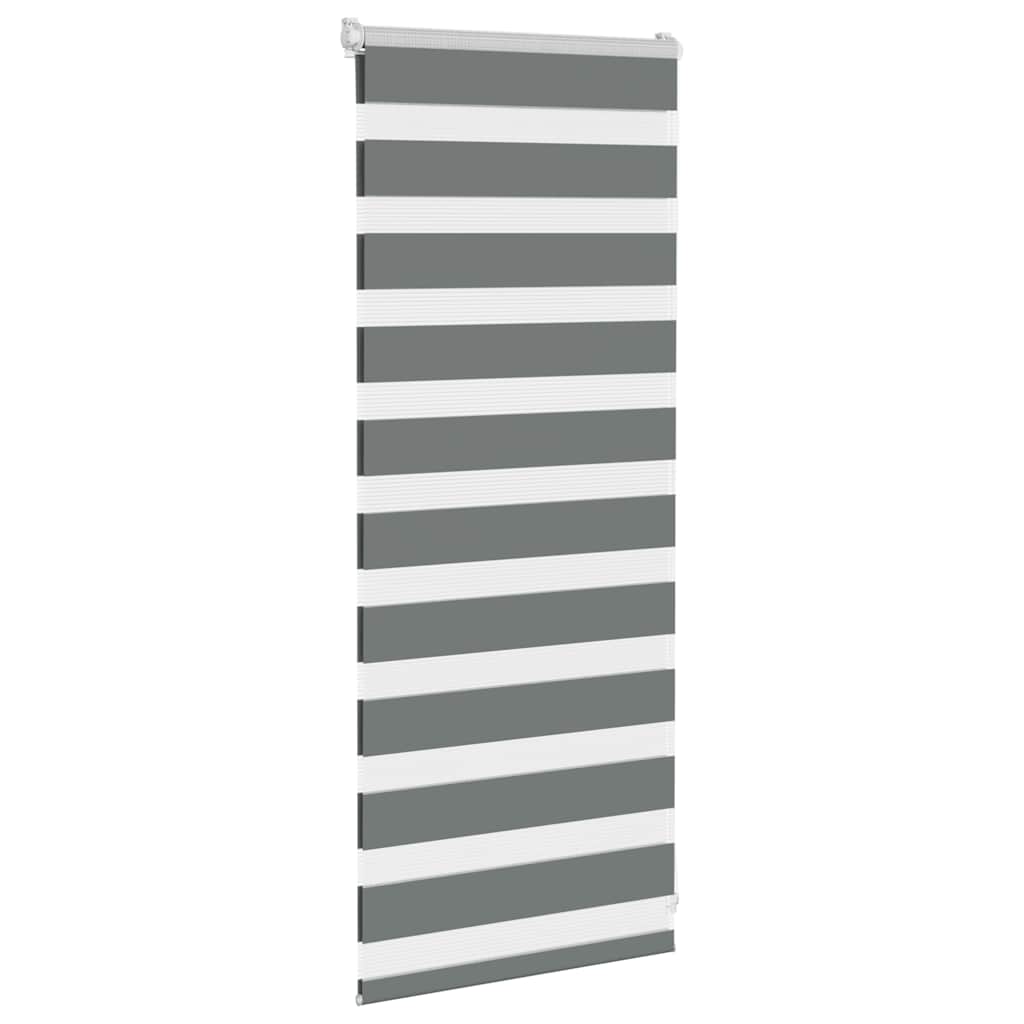 vidaXL Jaluzea tip zebra gri închis lățime țesătură 50,9 cm poliester