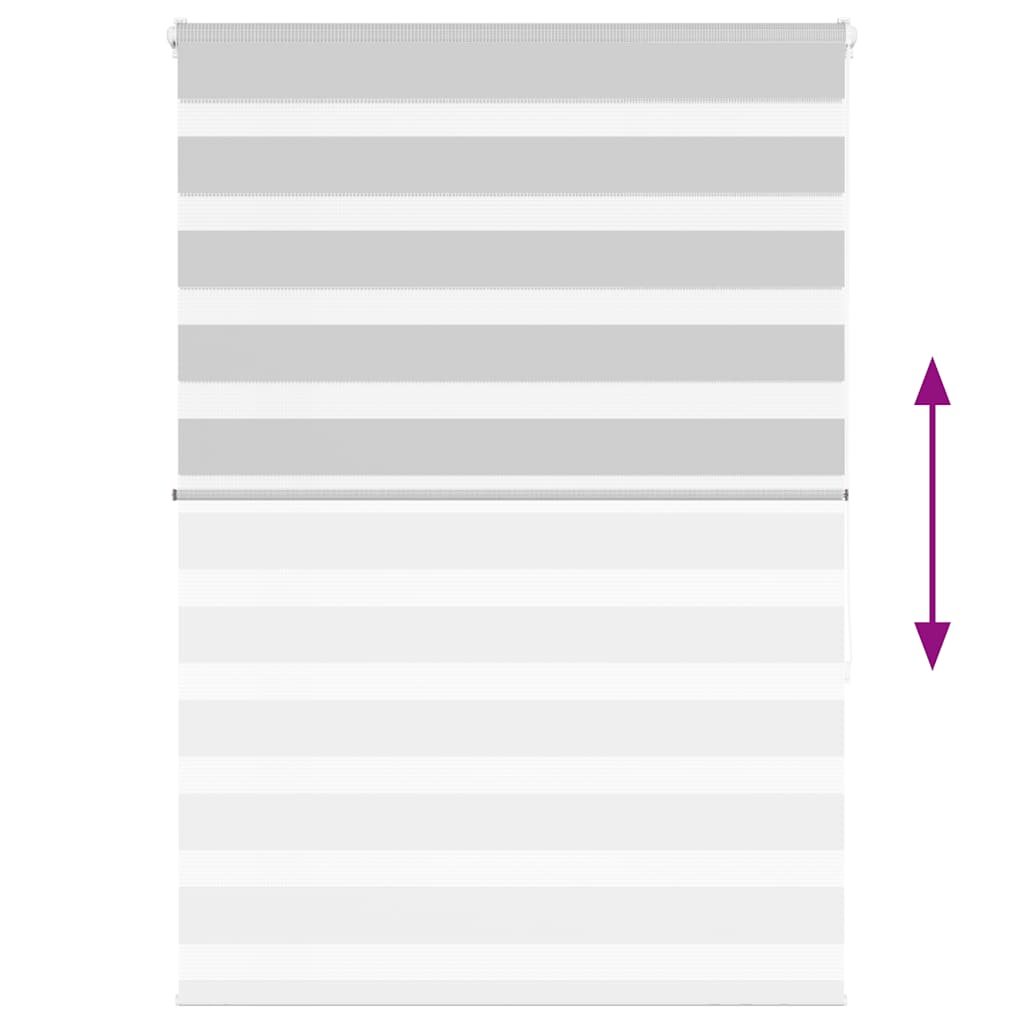 vidaXL Jaluzea tip zebra gri deschis lățime țesătură 100,9cm poliester