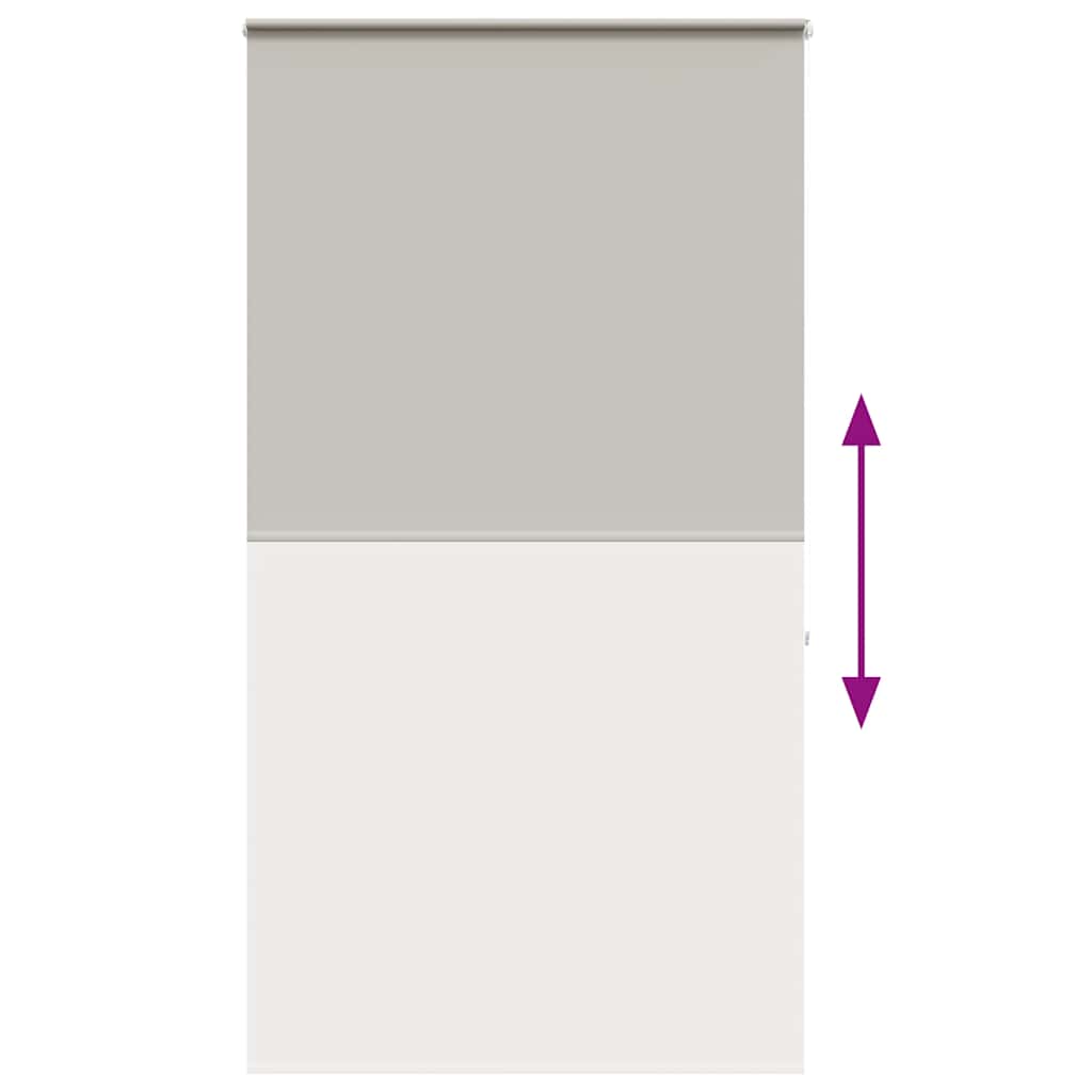vidaXL Jaluzea cu role de duș cu casetă 140x240 cm lățime materială