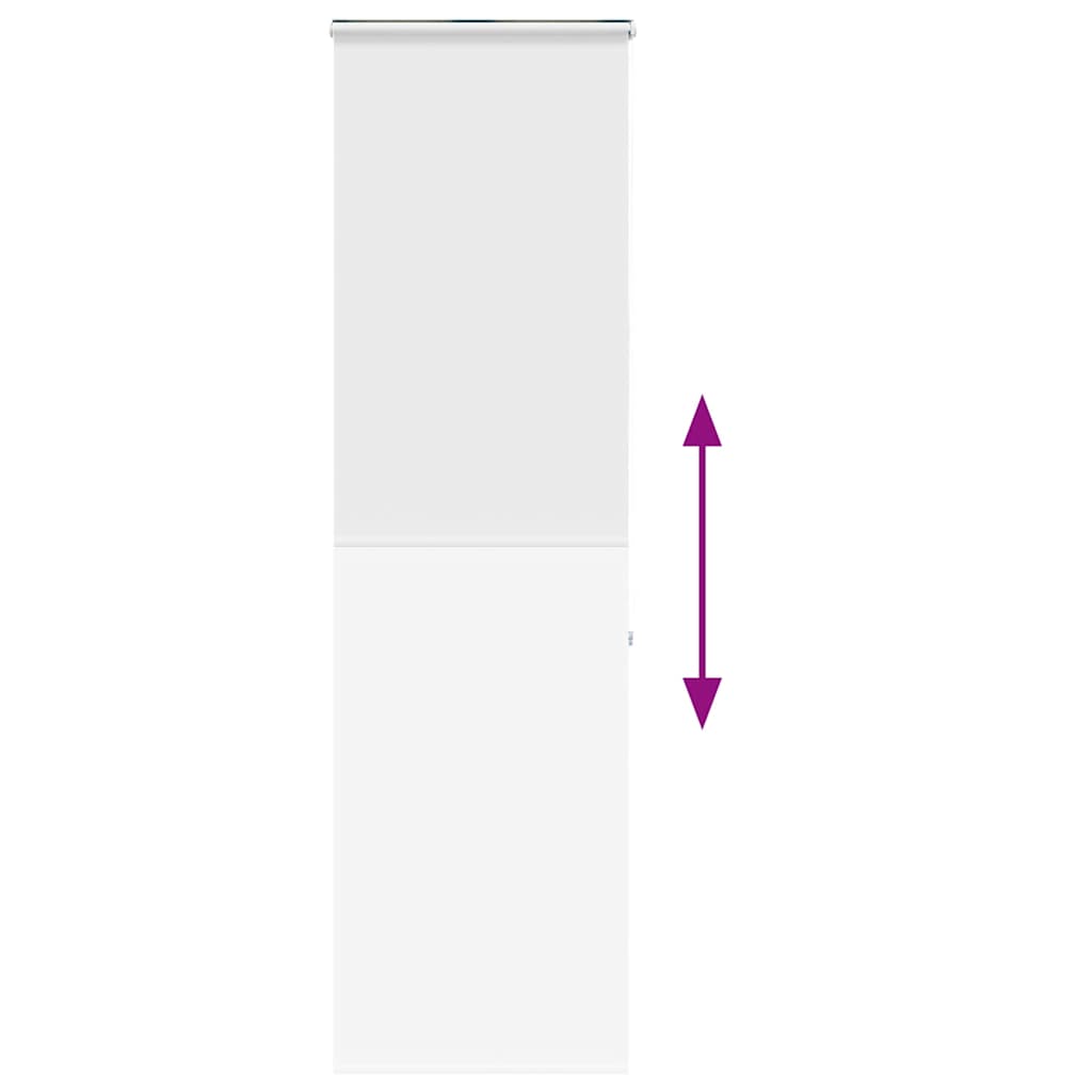 vidaXL Jaluzea cu role de duș cu casetă 60x240 cm lățime material 56 cm vidaXL Jaluzea cu role de duș cu casetă 60x240 cm lățime material 56 cm