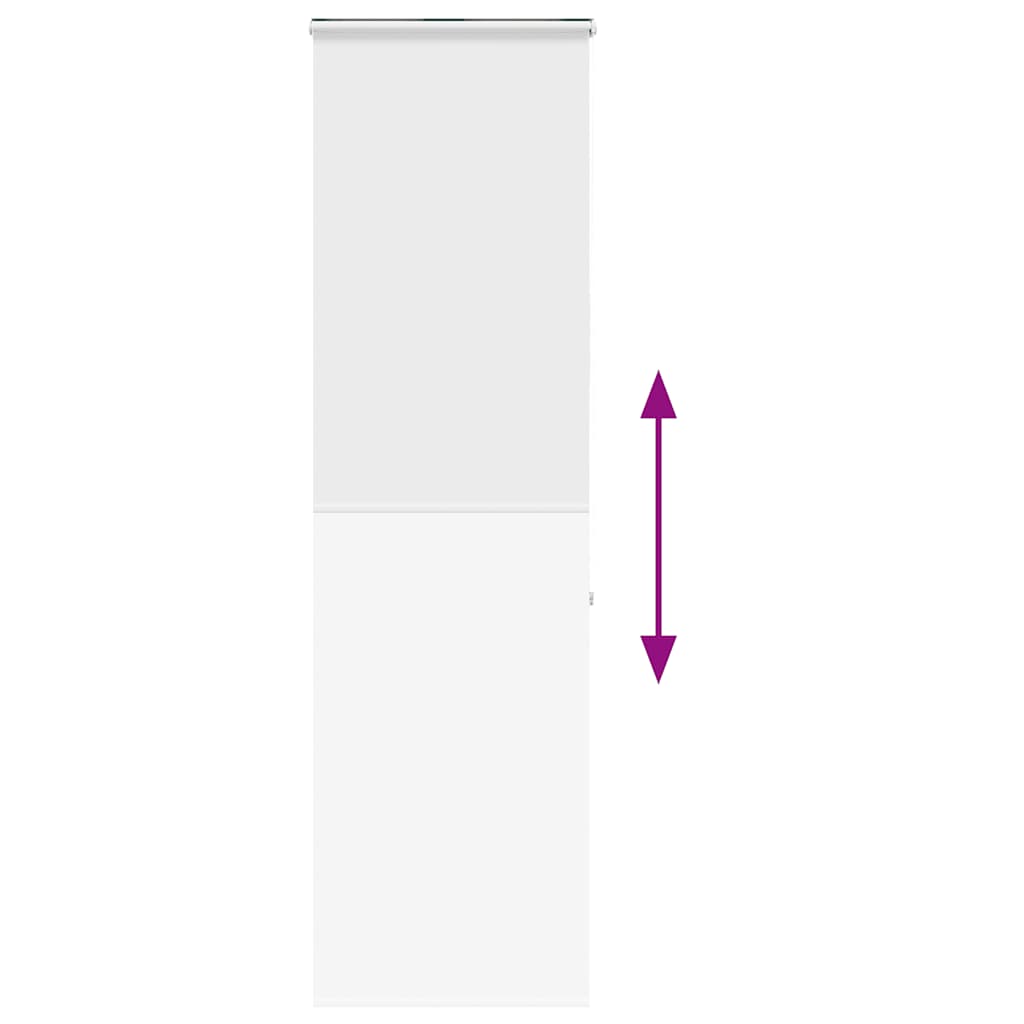 vidaXL Jaluzea cu role de duș cu casetă 80x240 cm lățime material 76 cm