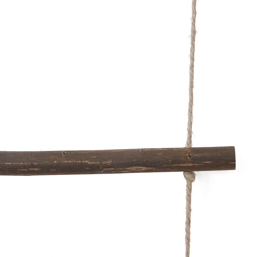 vidaXL Decorație de perete în formă de scară 50x150 cm crengă naturală vidaXL Decorație de perete în formă de scară 50x150 cm crengă naturală