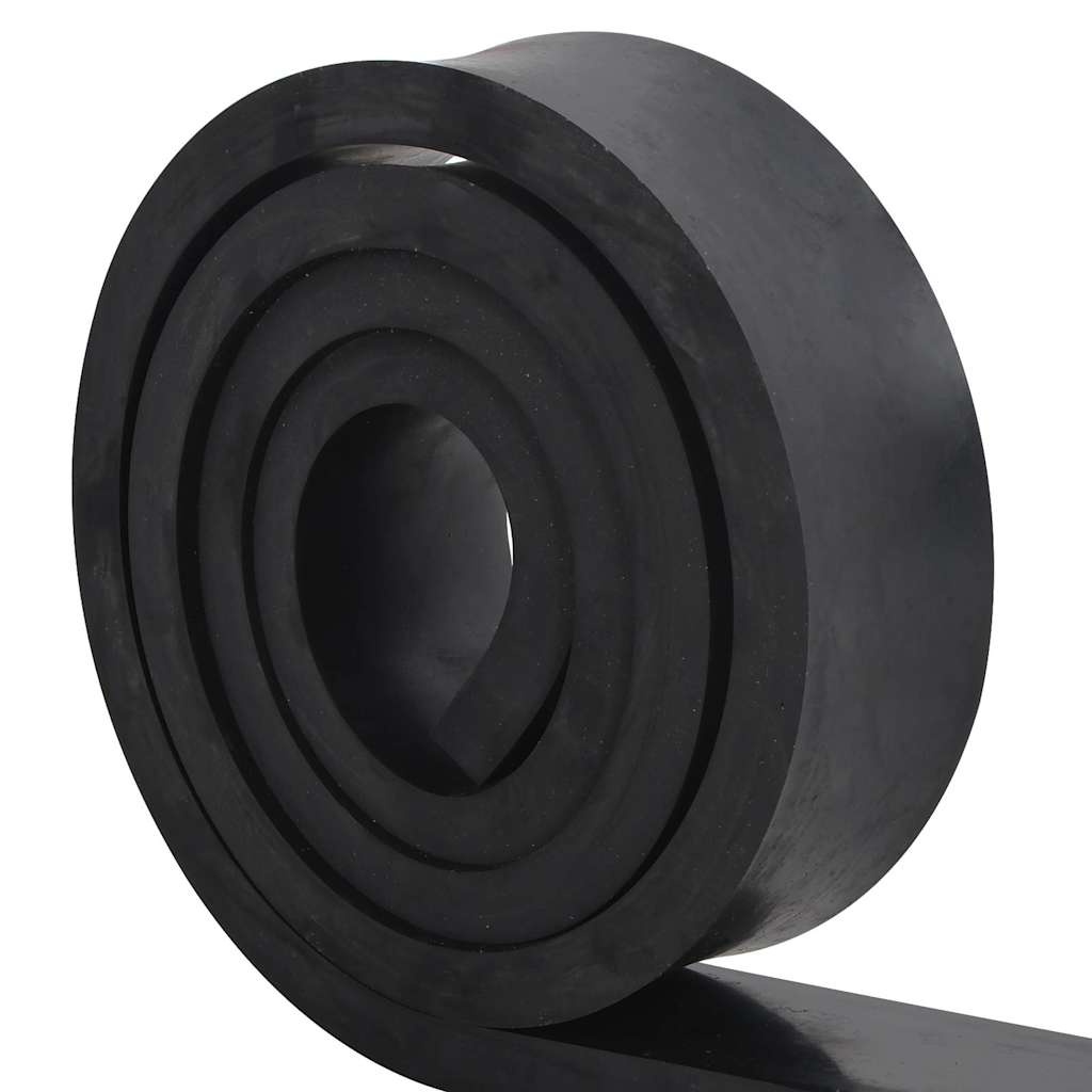 vidaXL Margine de cauciuc pentru plug de zăpadă negru 250x10x2 cm vidaXL Margine de cauciuc pentru plug de zăpadă negru 250x10x2 cm