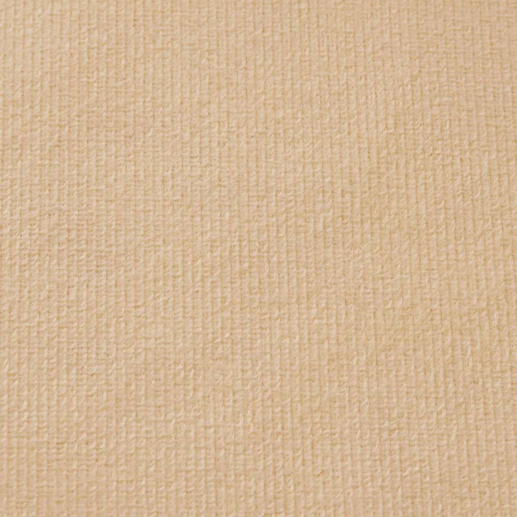 vidaXL Canapea pentru copii cu 2 locuri, crem, pluș moale