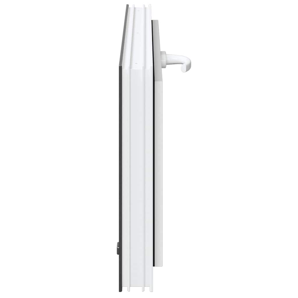 vidaXL Fereastră de subsol RISOR 90x40 cm înclinat 2 geamuri Antracit vidaXL Fereastră de subsol RISOR 90x40 cm înclinat 2 geamuri Antracit