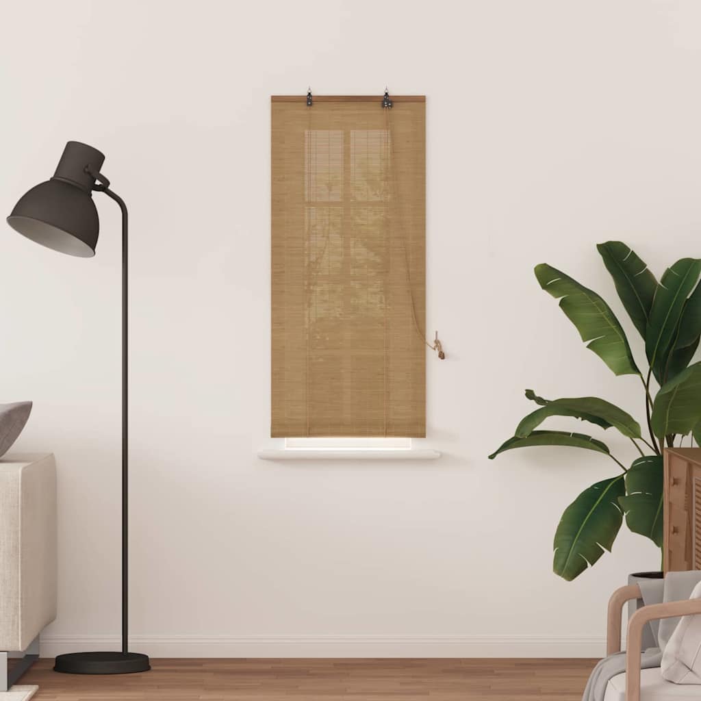 vidaXL Jaluzele și Rulouri pentru Fereastră Maro deschis 60 x 160 cm vidaXL Jaluzele și Rulouri pentru Fereastră Maro deschis 60 x 160 cm