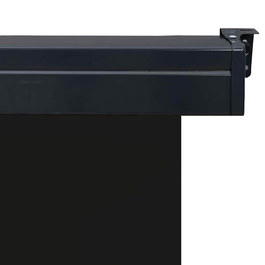vidaXL Copertină laterală de balcon, negru, 125 x 250 cm vidaXL Copertină laterală de balcon, negru, 125 x 250 cm