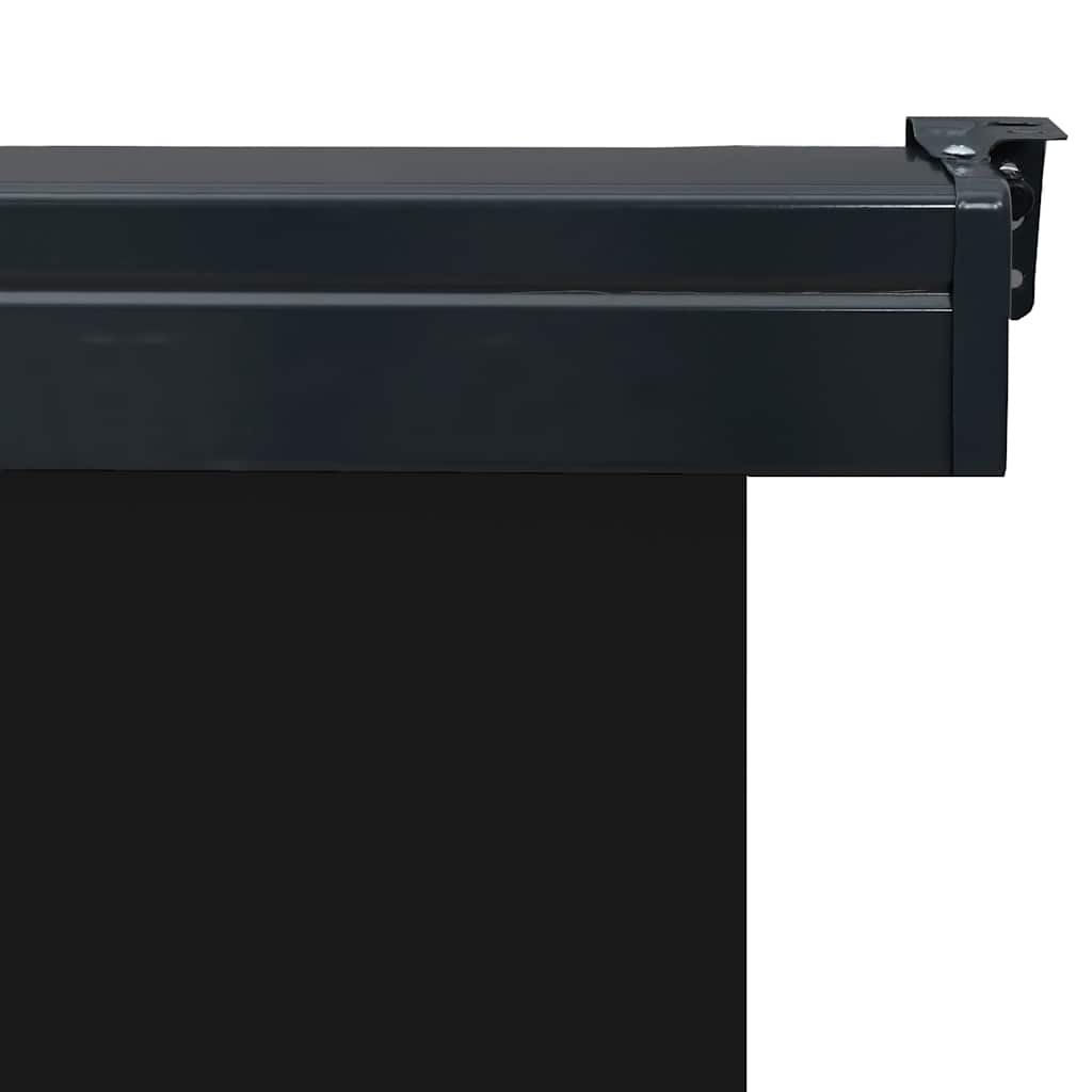 vidaXL Copertină laterală de balcon, negru, 165 x 250 cm vidaXL Copertină laterală de balcon, negru, 165 x 250 cm