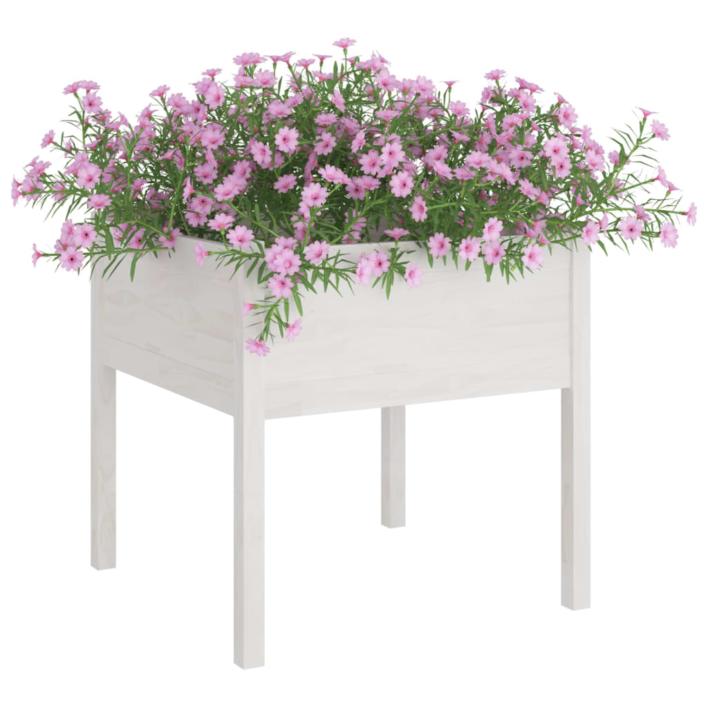 vidaXL Jardiniere de grădină, 2 buc., alb, 70x70x70 cm, lemn masiv pin vidaXL Jardiniere de grădină, 2 buc., alb, 70x70x70 cm, lemn masiv pin