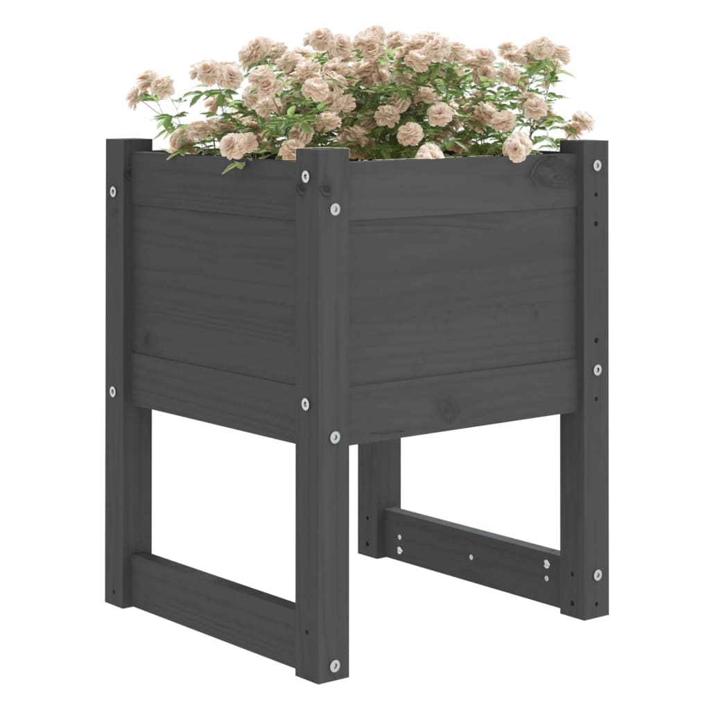 vidaXL Jardiniere, 2 buc., gri, 40x40x52,5 cm, lemn masiv de pin