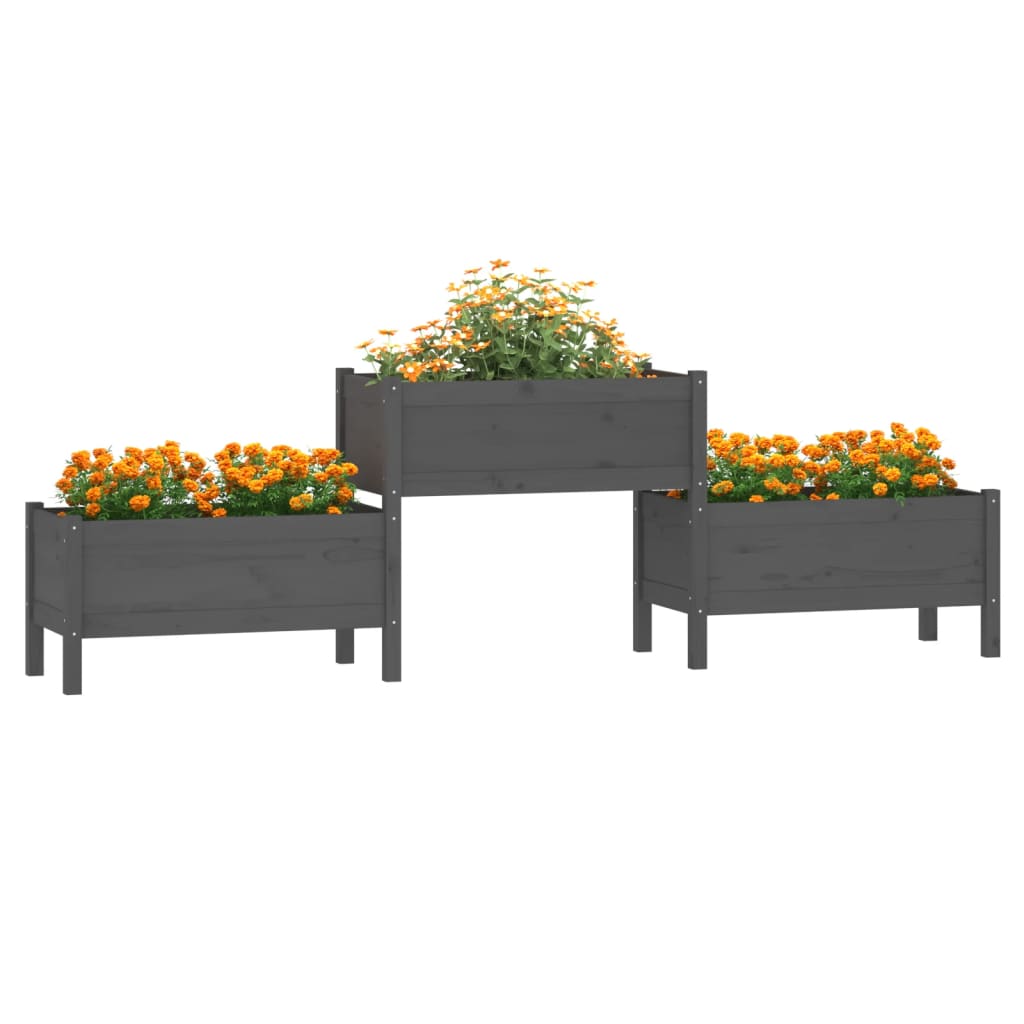 vidaXL Jardinieră, gri , 245,5x44x75 cm, lemn masiv de pin