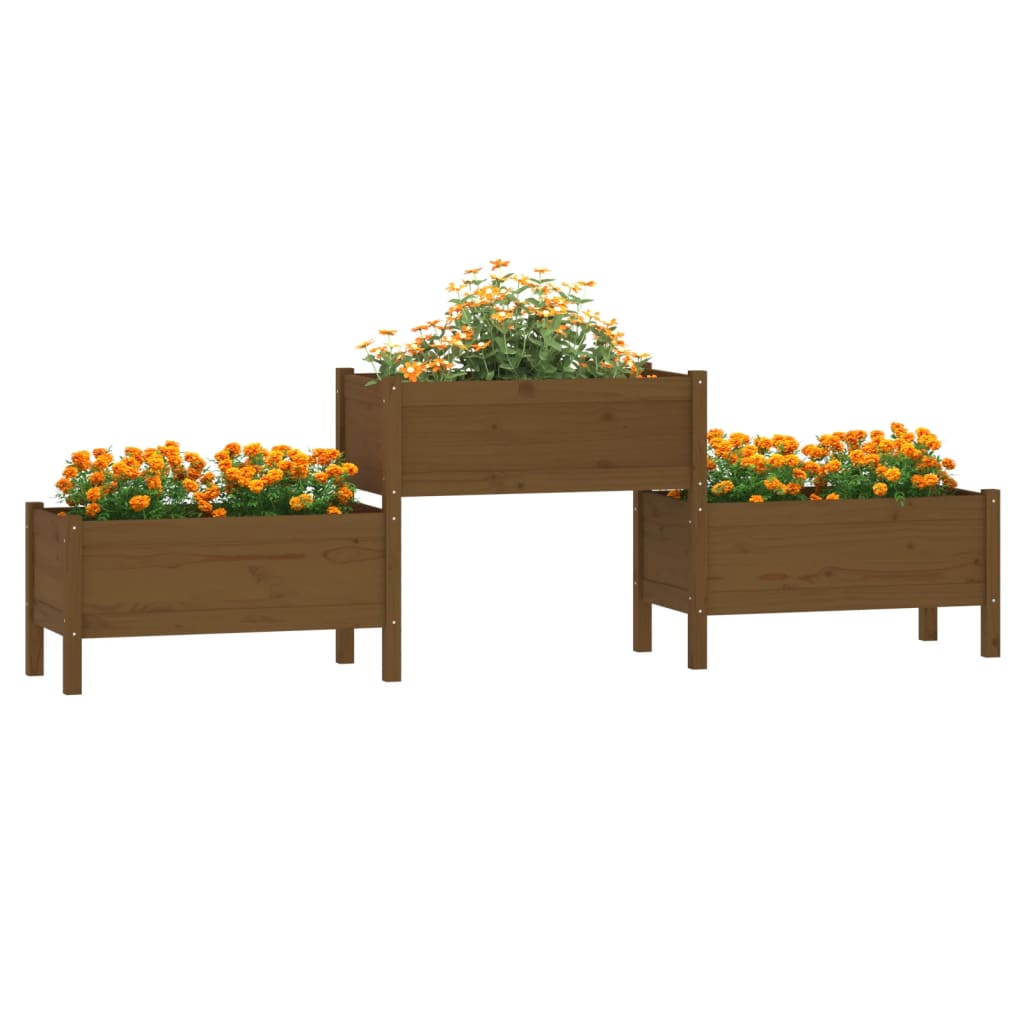 vidaXL Jardinieră, maro miere, 245,5x44x75 cm, lemn masiv de pin