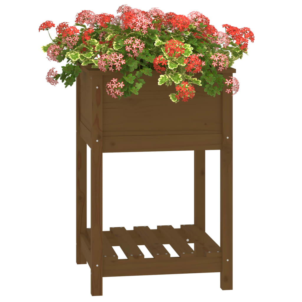 vidaXL Jardinieră cu raft, maro miere, 54x54x81 cm, lemn masiv pin