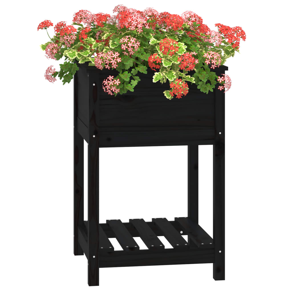 vidaXL Jardinieră cu raft, negru, 54x54x81 cm, lemn masiv de pin