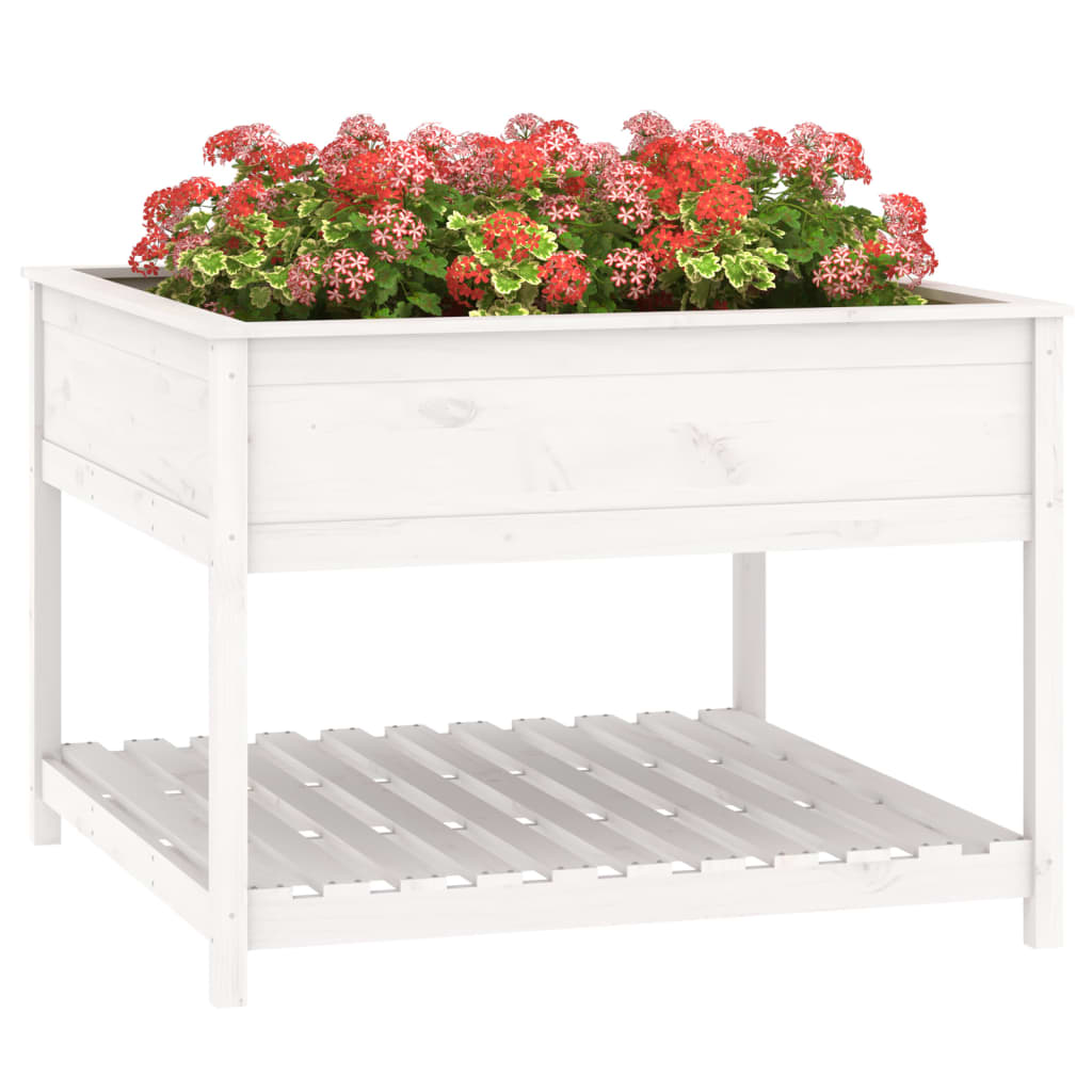 vidaXL Jardinieră cu raft, alb, 111,5x111,5x81 cm, lemn masiv de pin