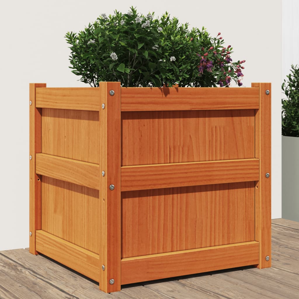 vidaXL Jardinieră de grădină, maro ceruit, 50x50x50 cm, lemn masiv pin vidaXL Jardinieră de grădină, maro ceruit, 50x50x50 cm, lemn masiv pin