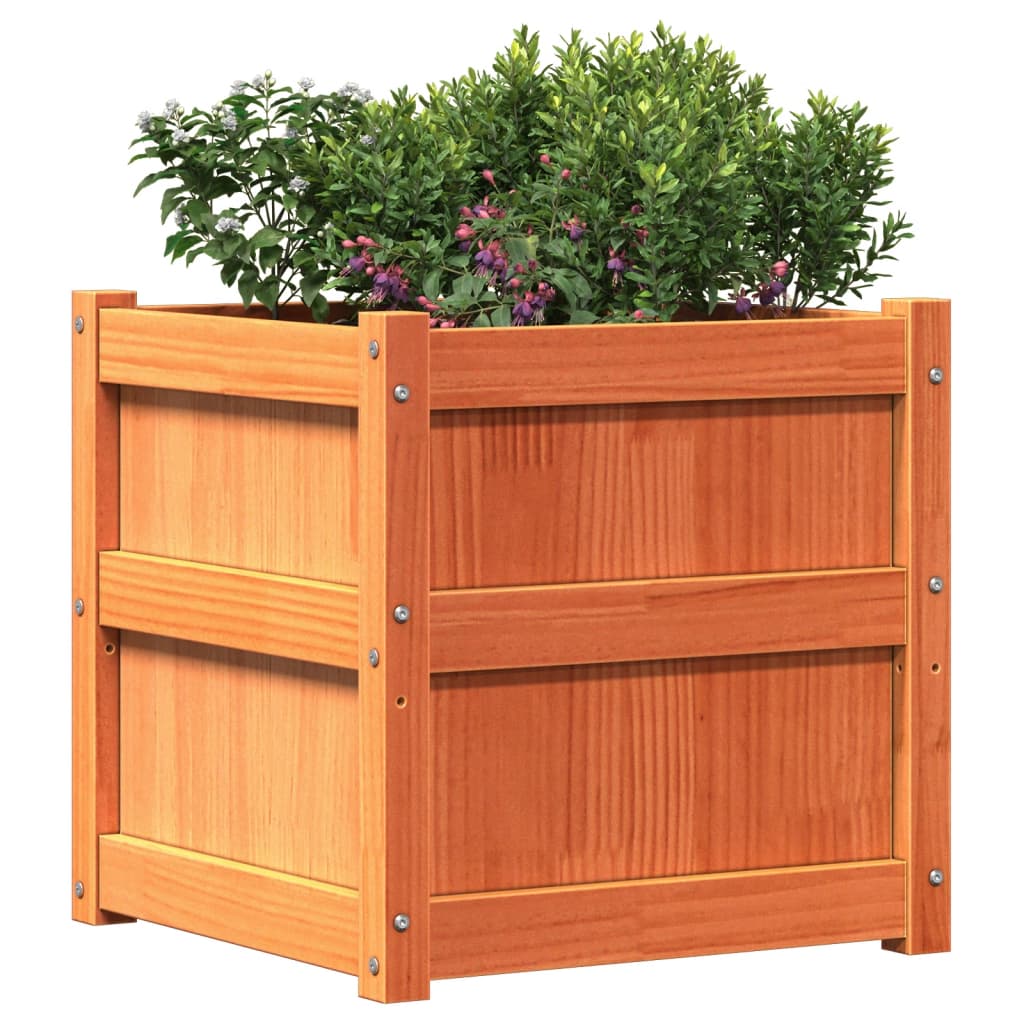 vidaXL Jardiniere de grădină, 2 buc., maro ceruit, lemn masiv de pin vidaXL Jardiniere de grădină, 2 buc., maro ceruit, lemn masiv de pin