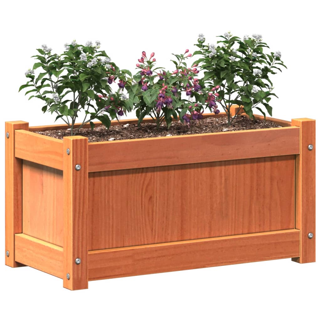vidaXL Jardiniere de grădină, 2 buc., maro ceruit, lemn masiv de pin vidaXL Jardiniere de grădină, 2 buc., maro ceruit, lemn masiv de pin