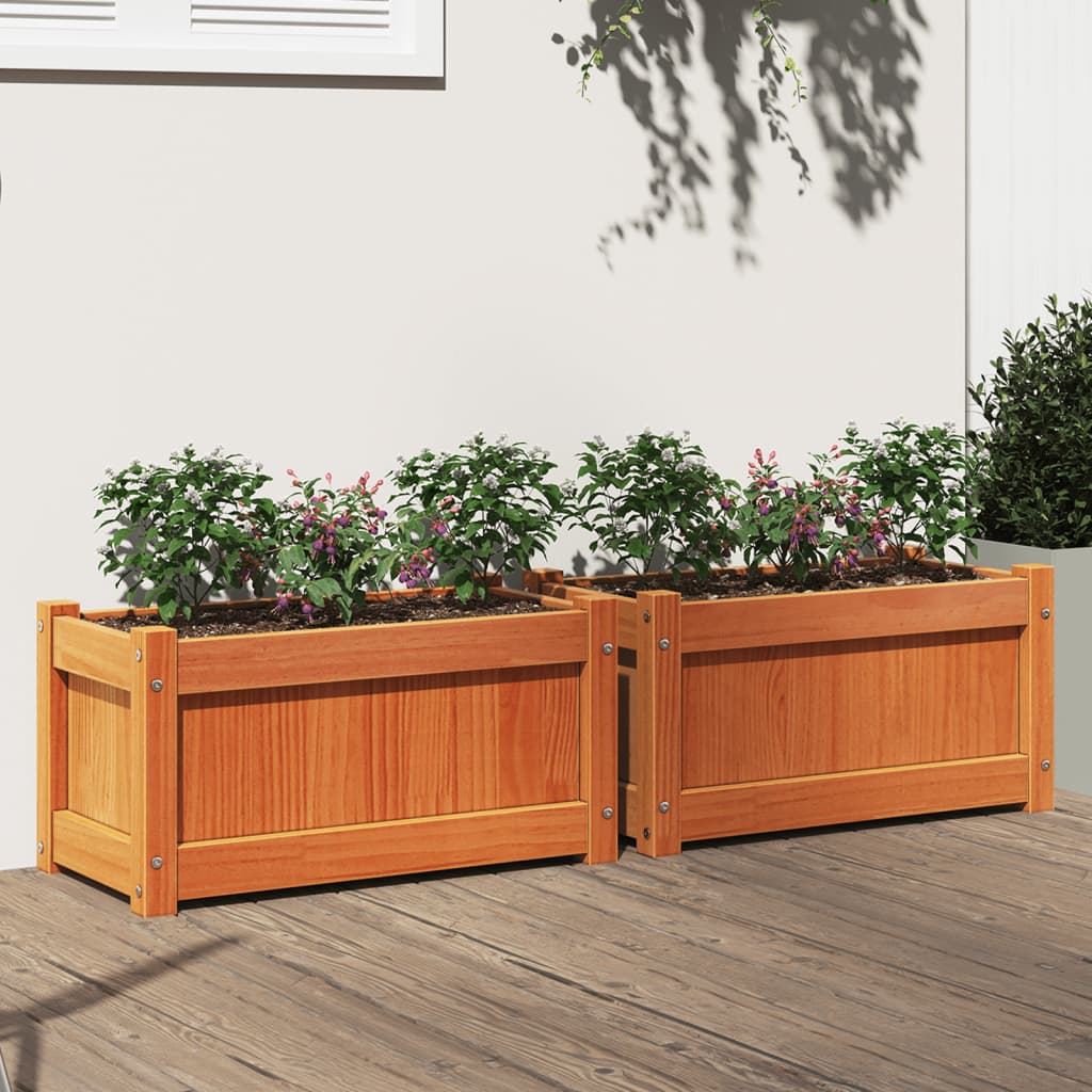 vidaXL Jardiniere de grădină, 2 buc., maro ceruit, lemn masiv de pin vidaXL Jardiniere de grădină, 2 buc., maro ceruit, lemn masiv de pin