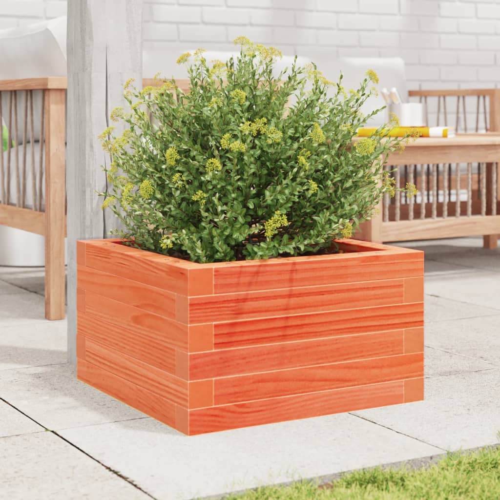 vidaXL Jardinieră de grădină, maro ceruit, 40x40x23 cm, lemn masiv pin vidaXL Jardinieră de grădină, maro ceruit, 40x40x23 cm, lemn masiv pin