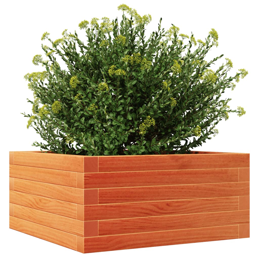 vidaXL Jardinieră de grădină, maro ceruit, 50x50x23 cm, lemn masiv pin
