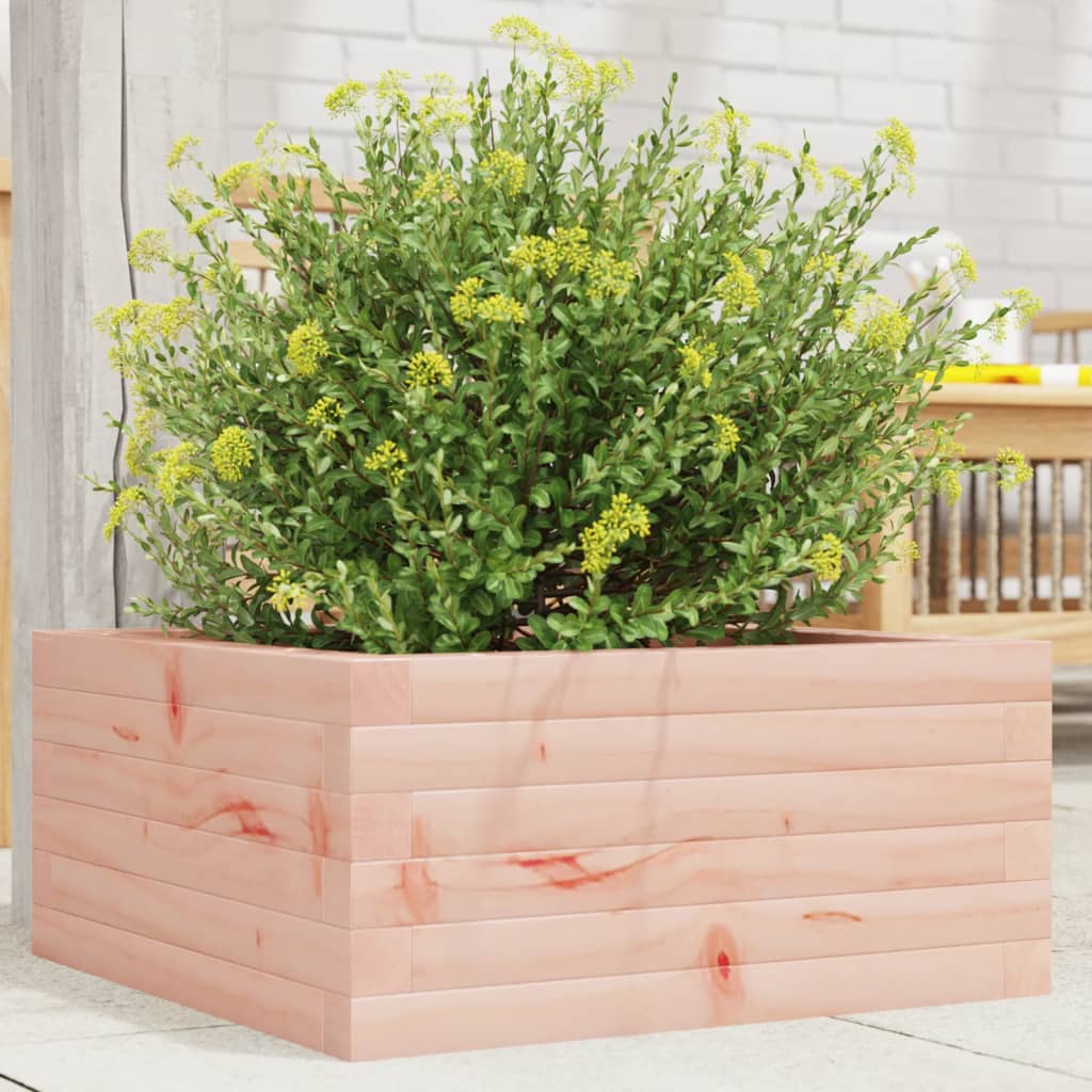 vidaXL Jardinieră de grădină, 50x50x23 cm, lemn masiv Douglas vidaXL Jardinieră de grădină, 50x50x23 cm, lemn masiv Douglas