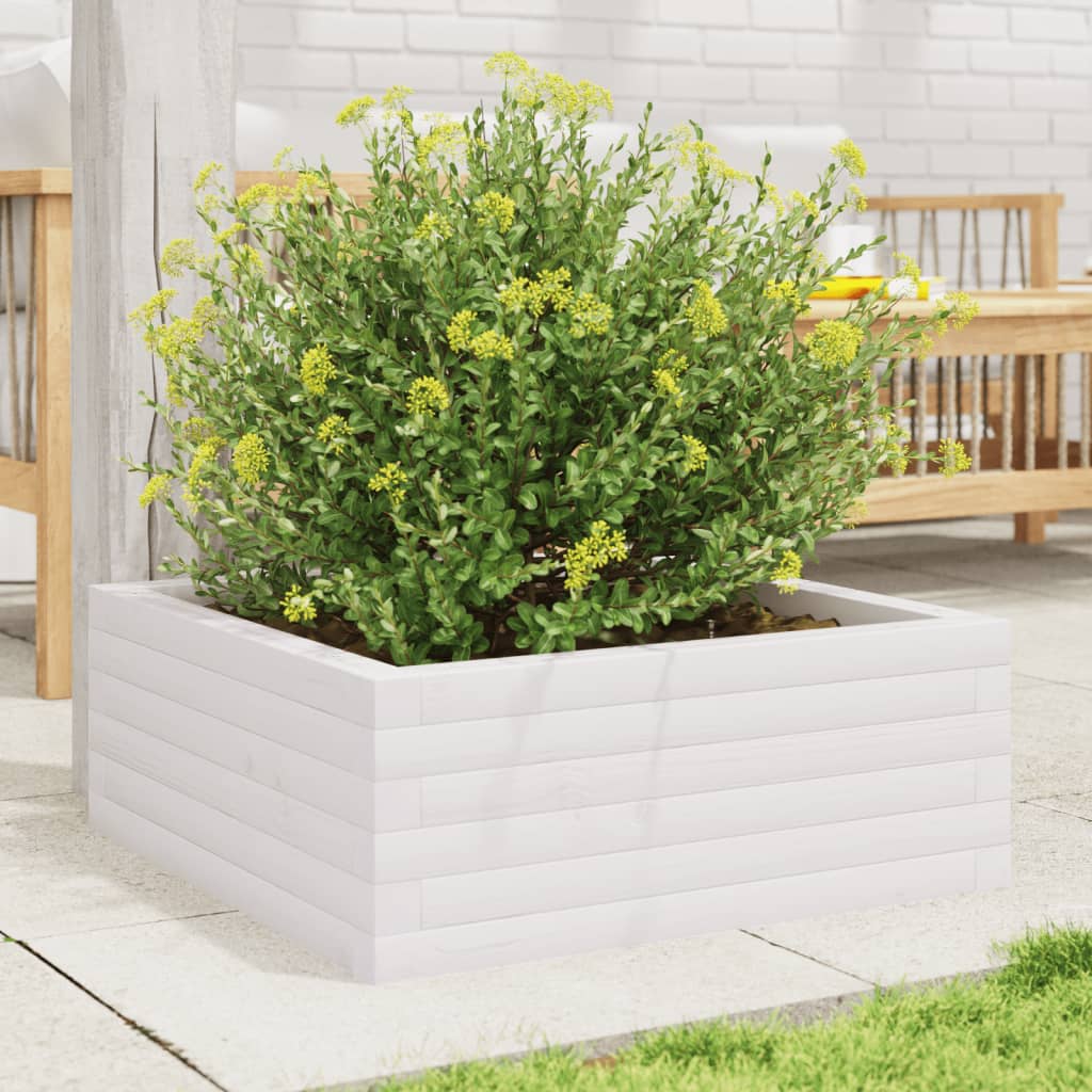vidaXL Jardinieră de grădină, alb, 60x60x23 cm, lemn masiv de pin