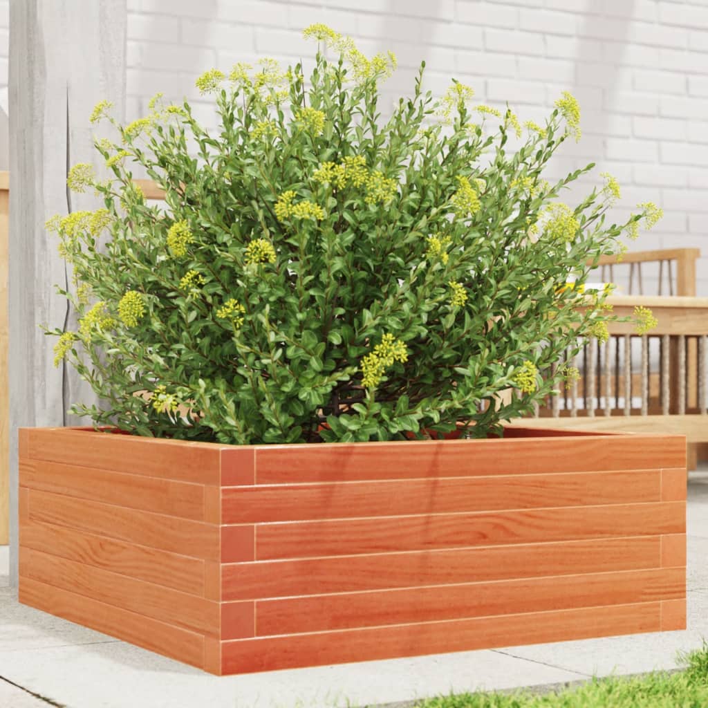 vidaXL Jardinieră grădină, maro ceruit, 60x60x23 cm, lemn masiv pin vidaXL Jardinieră grădină, maro ceruit, 60x60x23 cm, lemn masiv pin