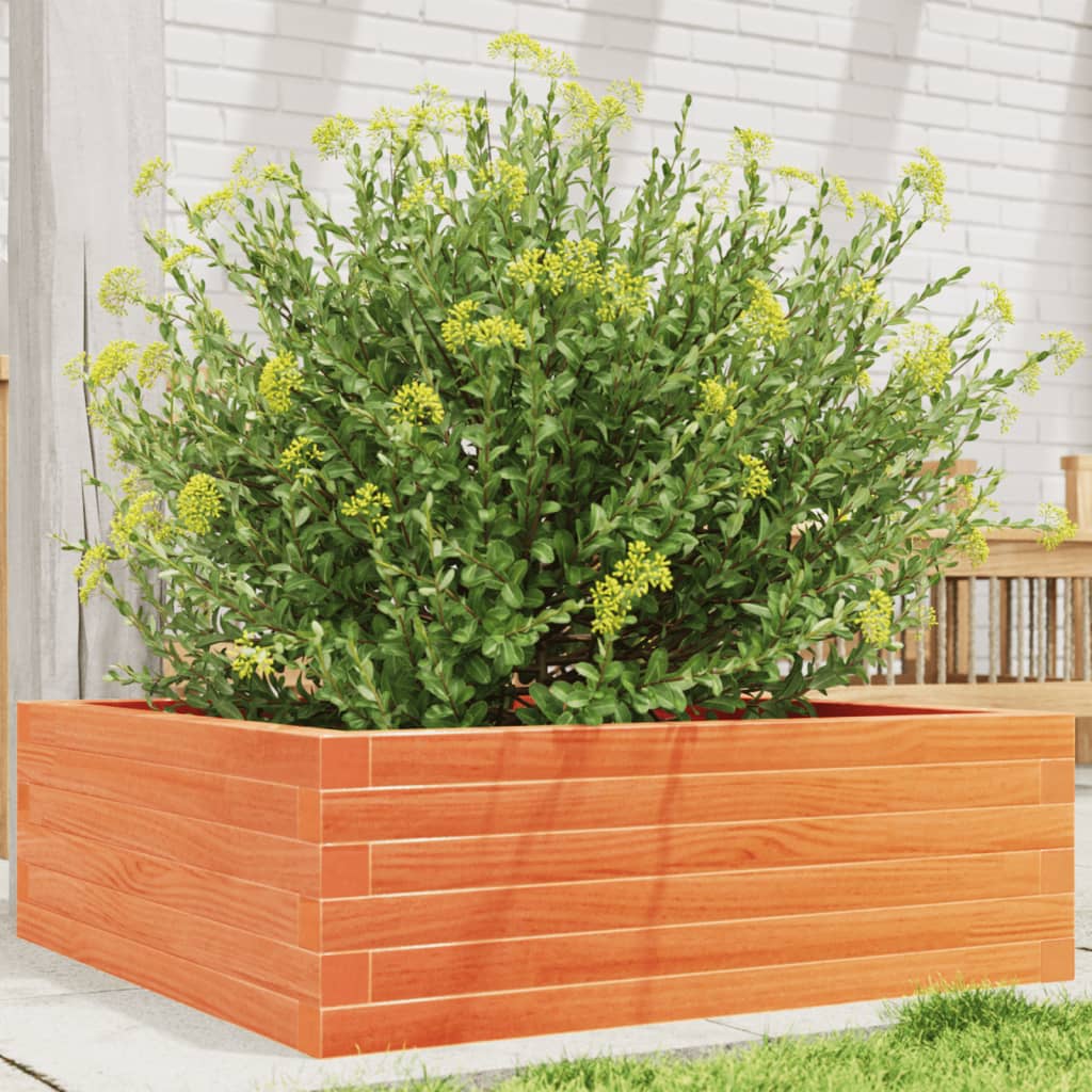 vidaXL Jardinieră de grădină, maro ceruit, 70x70x23 cm, lemn masiv pin vidaXL Jardinieră de grădină, maro ceruit, 70x70x23 cm, lemn masiv pin