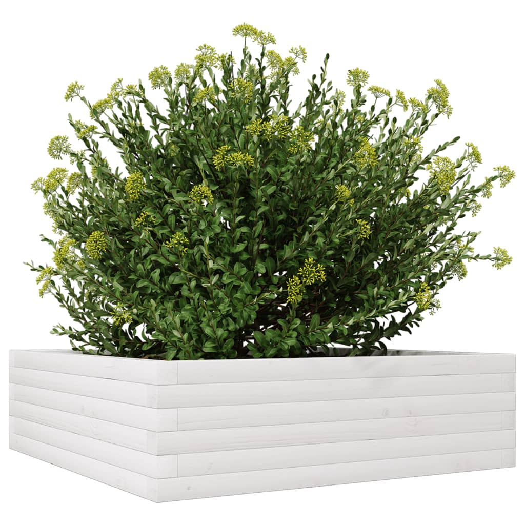 vidaXL Jardinieră de grădină, alb, 80x80x23 cm, lemn masiv de pin vidaXL Jardinieră de grădină, alb, 80x80x23 cm, lemn masiv de pin