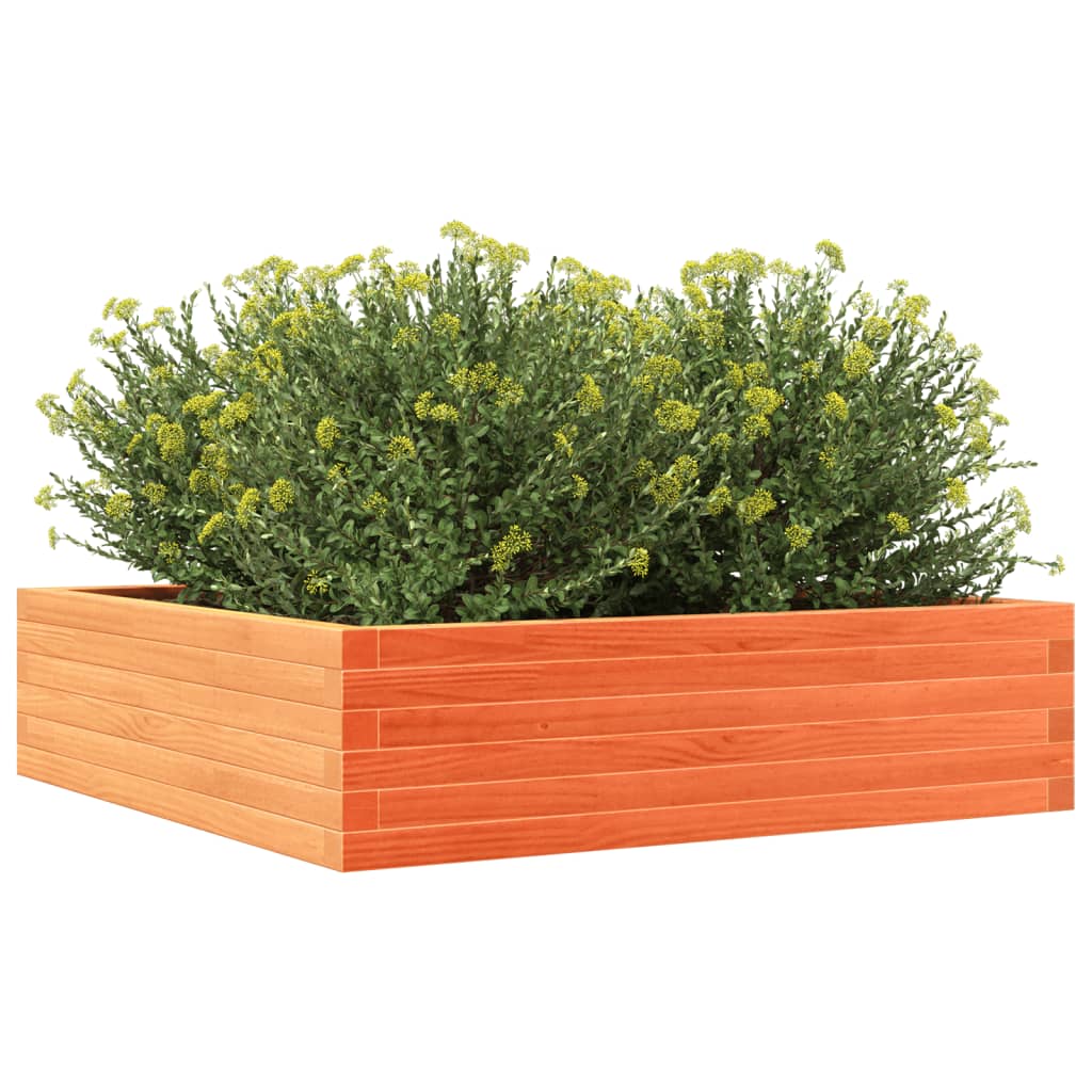 vidaXL Jardinieră de grădină, maro ceruit, 90x90x23 cm, lemn masiv pin vidaXL Jardinieră de grădină, maro ceruit, 90x90x23 cm, lemn masiv pin