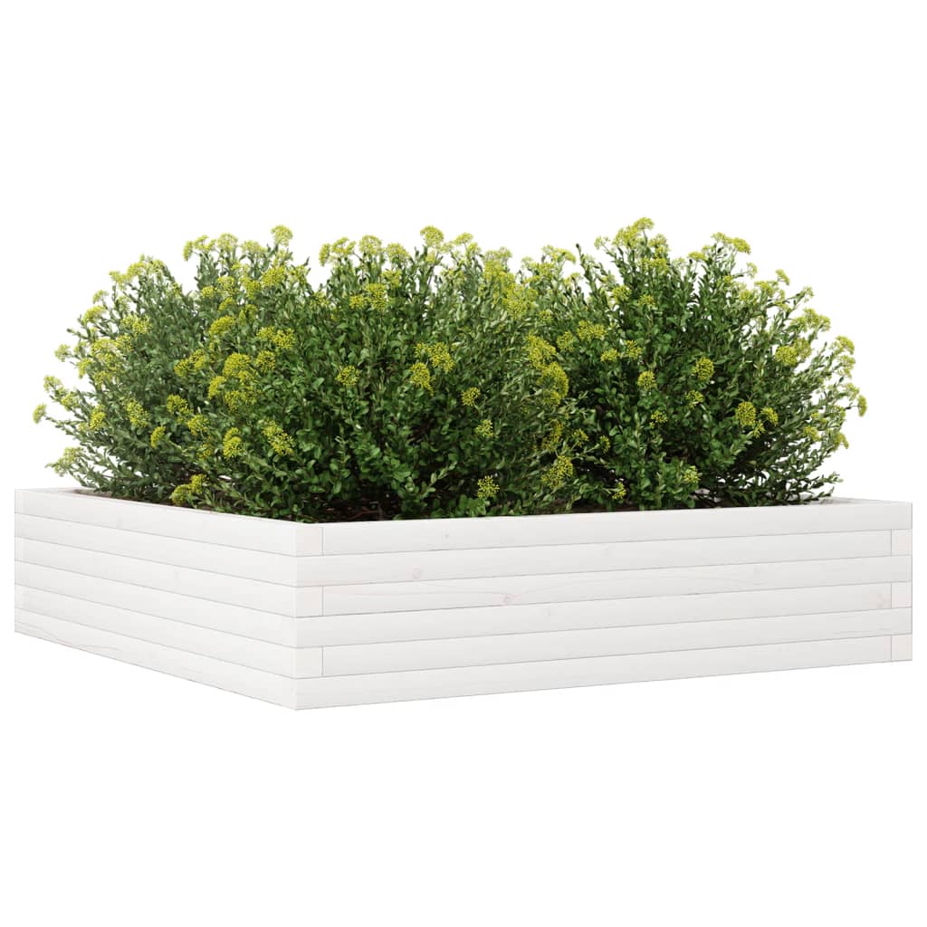 vidaXL Jardinieră de grădină, alb, 100x100x23 cm, lemn masiv de pin vidaXL Jardinieră de grădină, alb, 100x100x23 cm, lemn masiv de pin