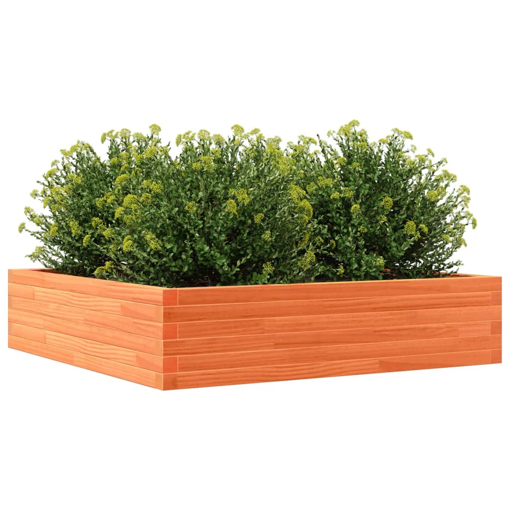 vidaXL Jardinieră de grădină, maro ceruit, 100x100x23cm lemn masiv pin