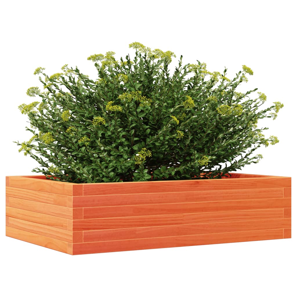 vidaXL Jardinieră de grădină, maro ceruit, 90x60x23 cm, lemn masiv pin vidaXL Jardinieră de grădină, maro ceruit, 90x60x23 cm, lemn masiv pin