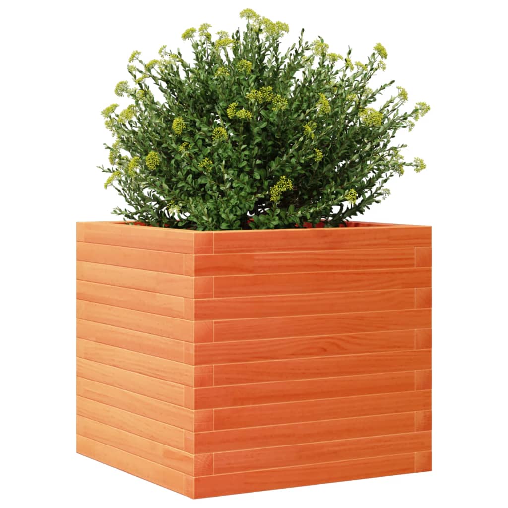 vidaXL Jardinieră grădină, maro ceruit, 50x50x45,5 cm, lemn masiv pin vidaXL Jardinieră grădină, maro ceruit, 50x50x45,5 cm, lemn masiv pin