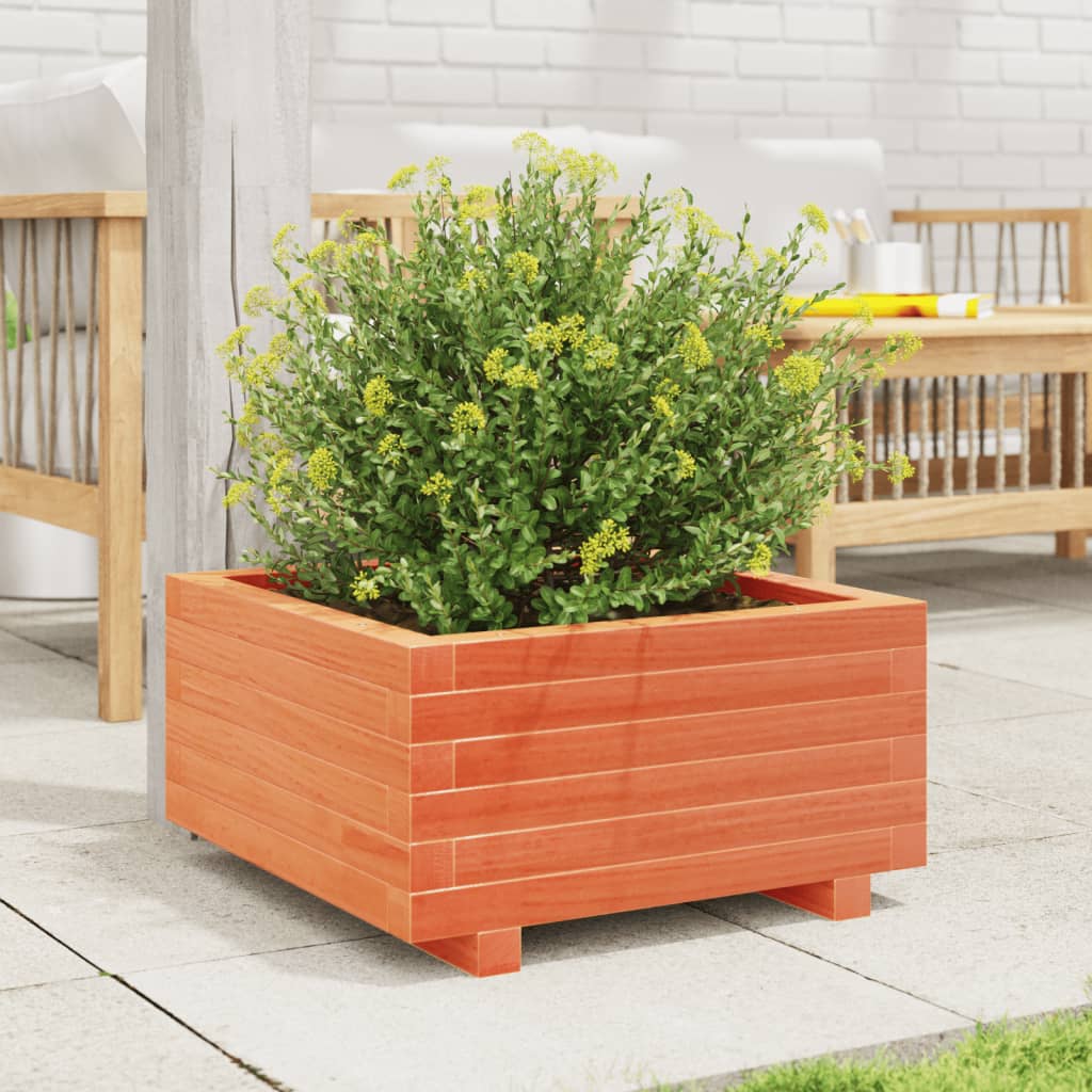 vidaXL Jardinieră grădină, maro ceruit, 50x50x26,5 cm, lemn masiv pin vidaXL Jardinieră grădină, maro ceruit, 50x50x26,5 cm, lemn masiv pin