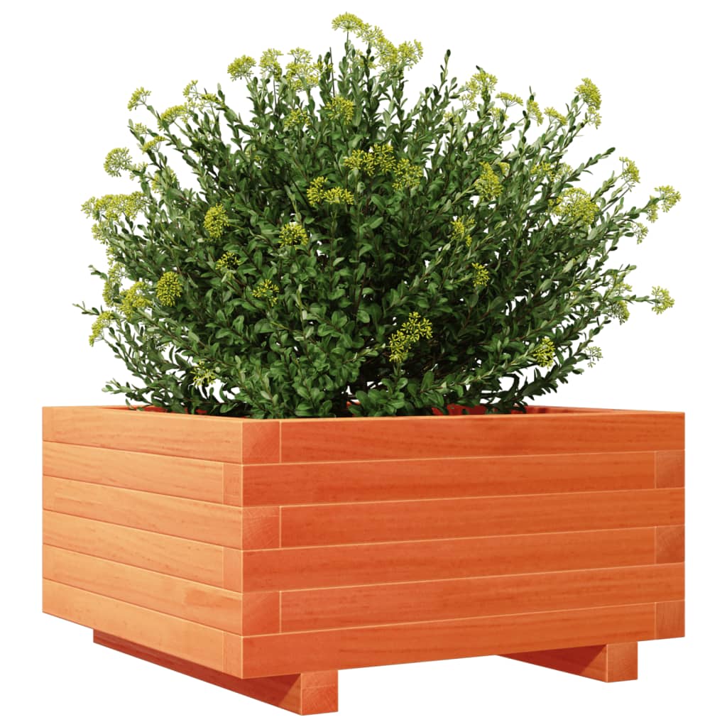 vidaXL Jardinieră grădină, maro ceruit, 50x50x26,5 cm, lemn masiv pin vidaXL Jardinieră grădină, maro ceruit, 50x50x26,5 cm, lemn masiv pin