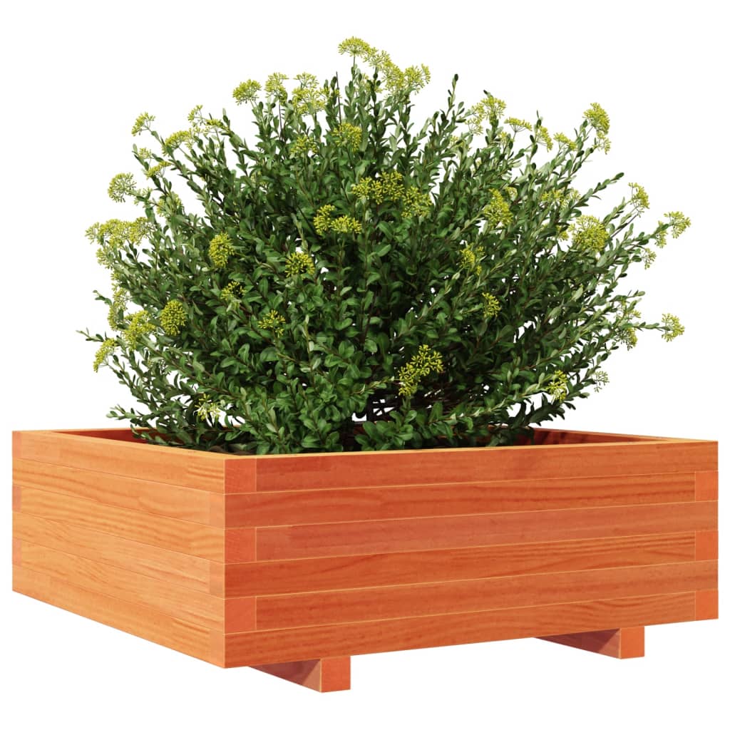 vidaXL Jardinieră grădină, maro ceruit, 70x70x26,5 cm, lemn masiv pin vidaXL Jardinieră grădină, maro ceruit, 70x70x26,5 cm, lemn masiv pin
