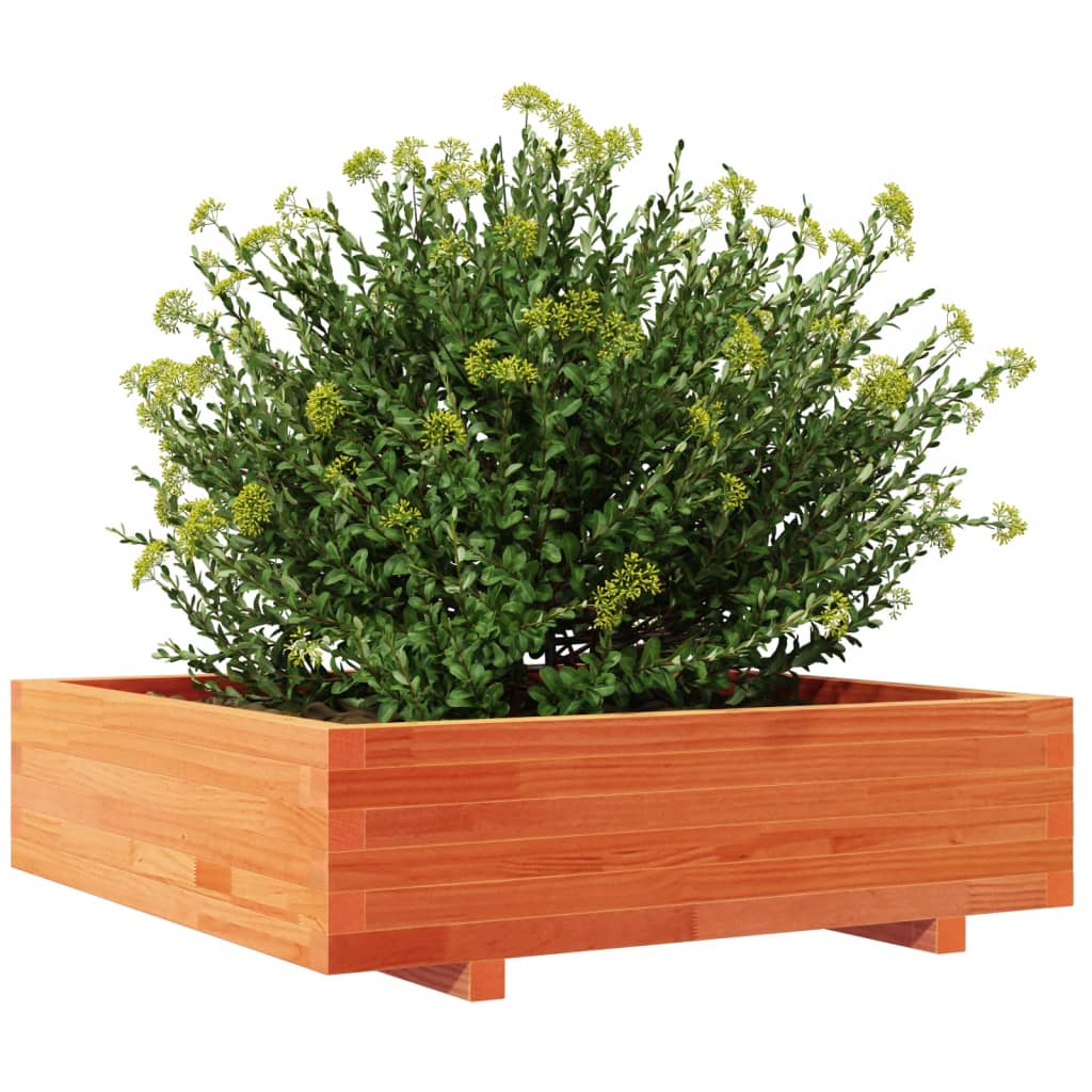 vidaXL Jardinieră grădină, maro ceruit, 90x90x26,5 cm, lemn masiv pin vidaXL Jardinieră grădină, maro ceruit, 90x90x26,5 cm, lemn masiv pin