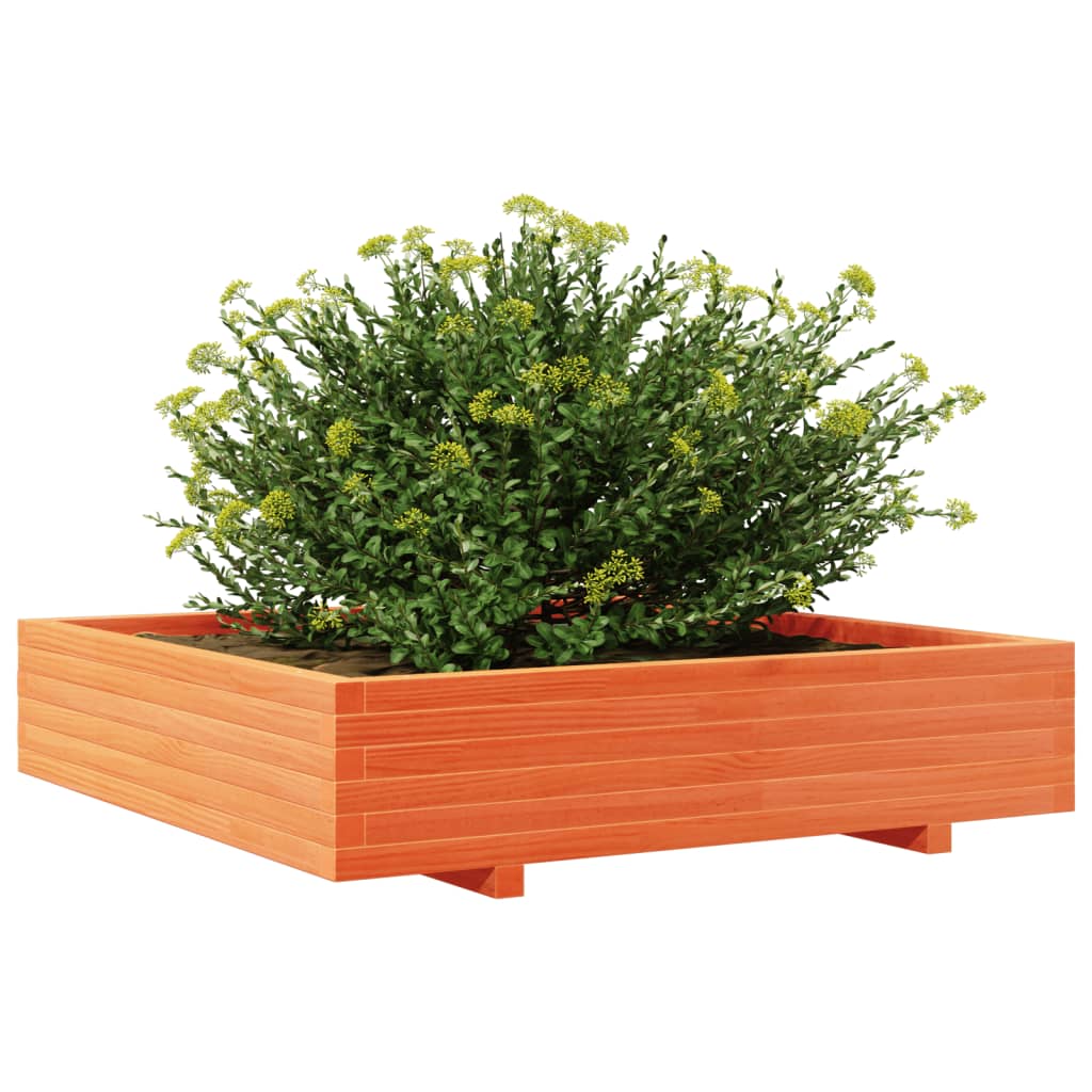 vidaXL Jardinieră grădină, maro ceruit, 110x110x26,5cm, lemn masiv pin vidaXL Jardinieră grădină, maro ceruit, 110x110x26,5cm, lemn masiv pin