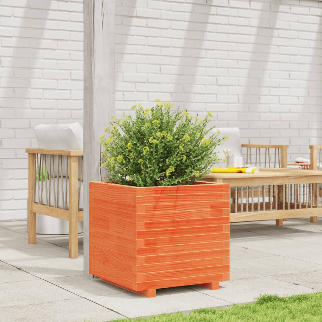 vidaXL Jardinieră grădină, maro ceruit, 50x50x49,5 cm, lemn masiv pin vidaXL Jardinieră grădină, maro ceruit, 50x50x49,5 cm, lemn masiv pin
