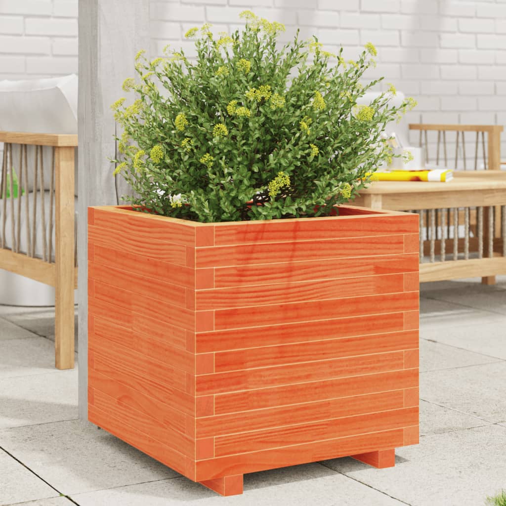 vidaXL Jardinieră grădină, maro ceruit, 50x50x49,5 cm, lemn masiv pin vidaXL Jardinieră grădină, maro ceruit, 50x50x49,5 cm, lemn masiv pin